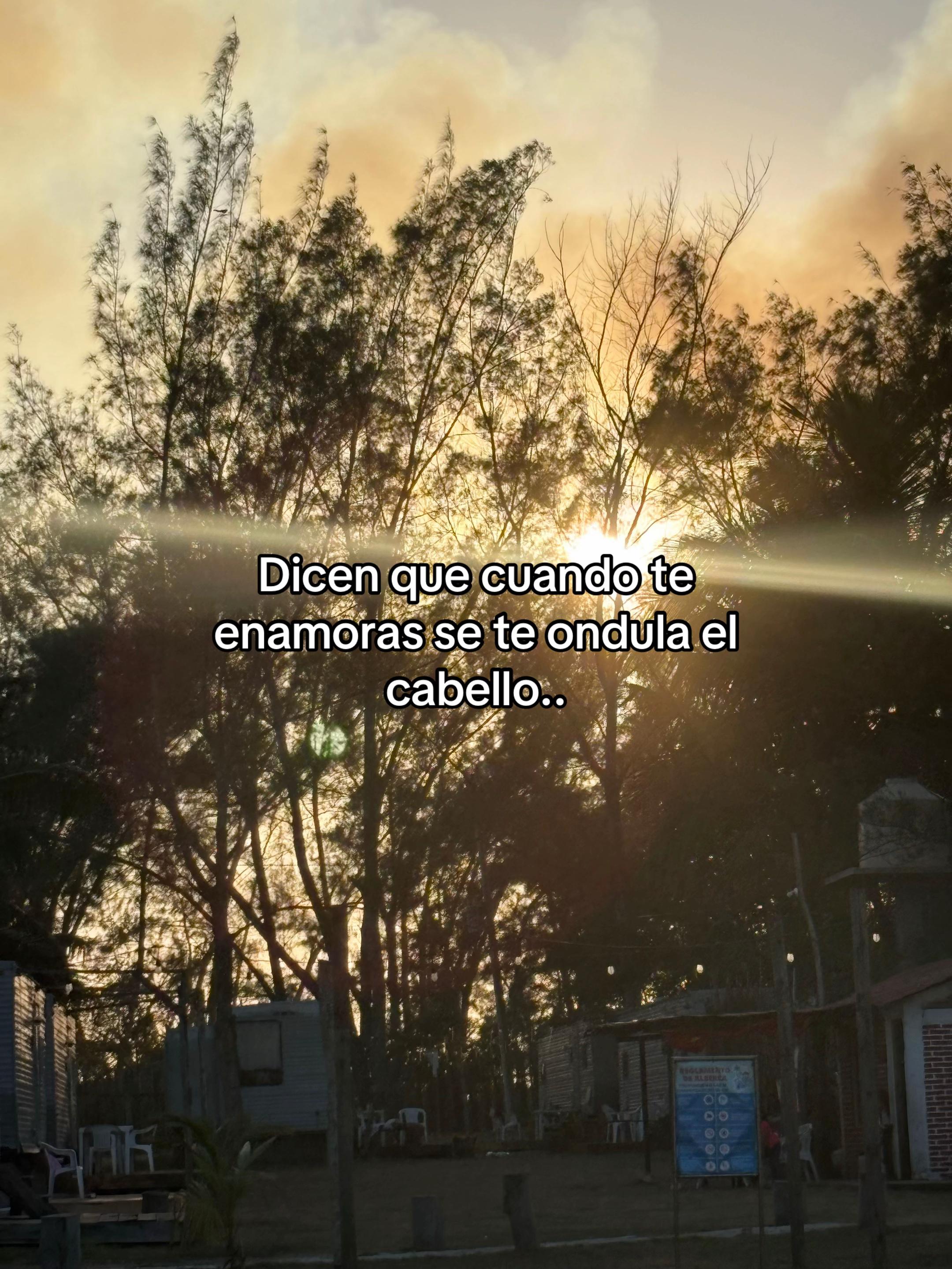 @Karencita⁷ 🐝🤍
