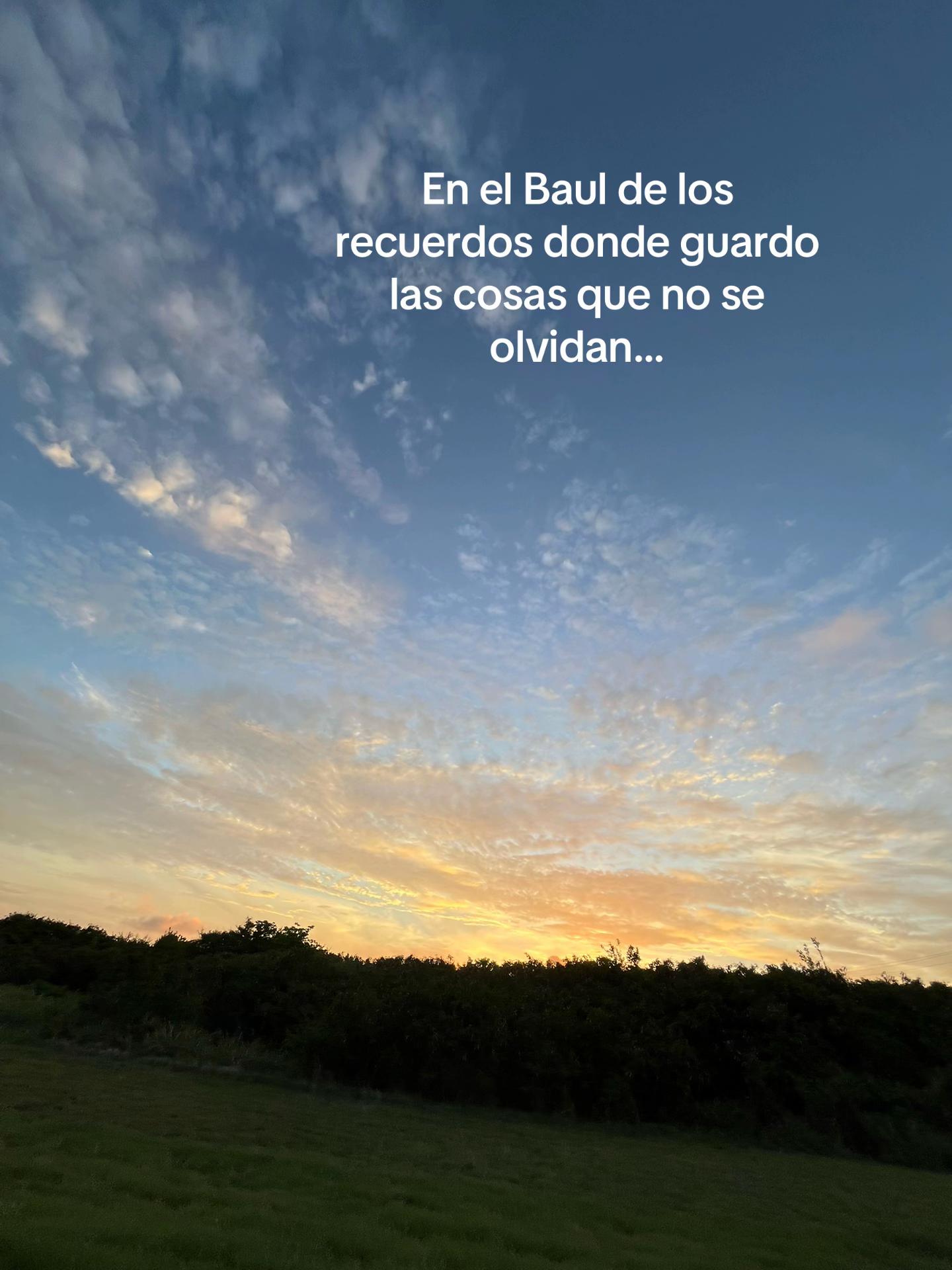 @La Canales