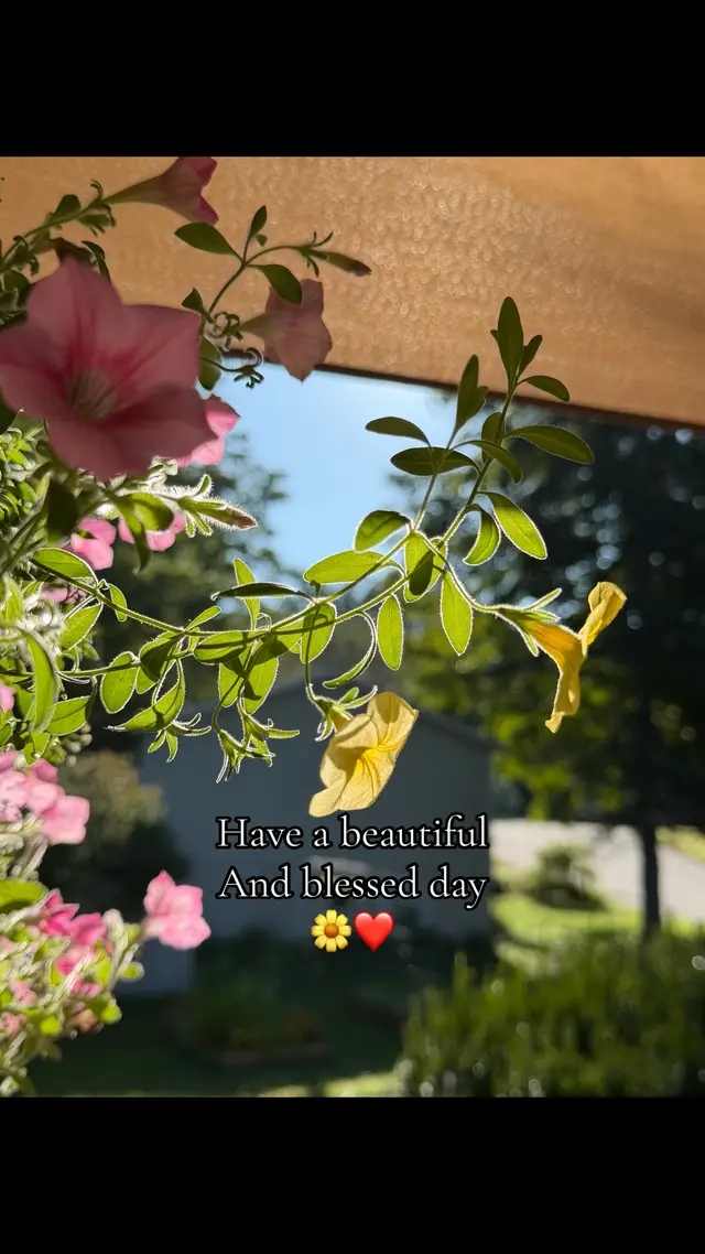 @🌸💕Cathy💕🌸