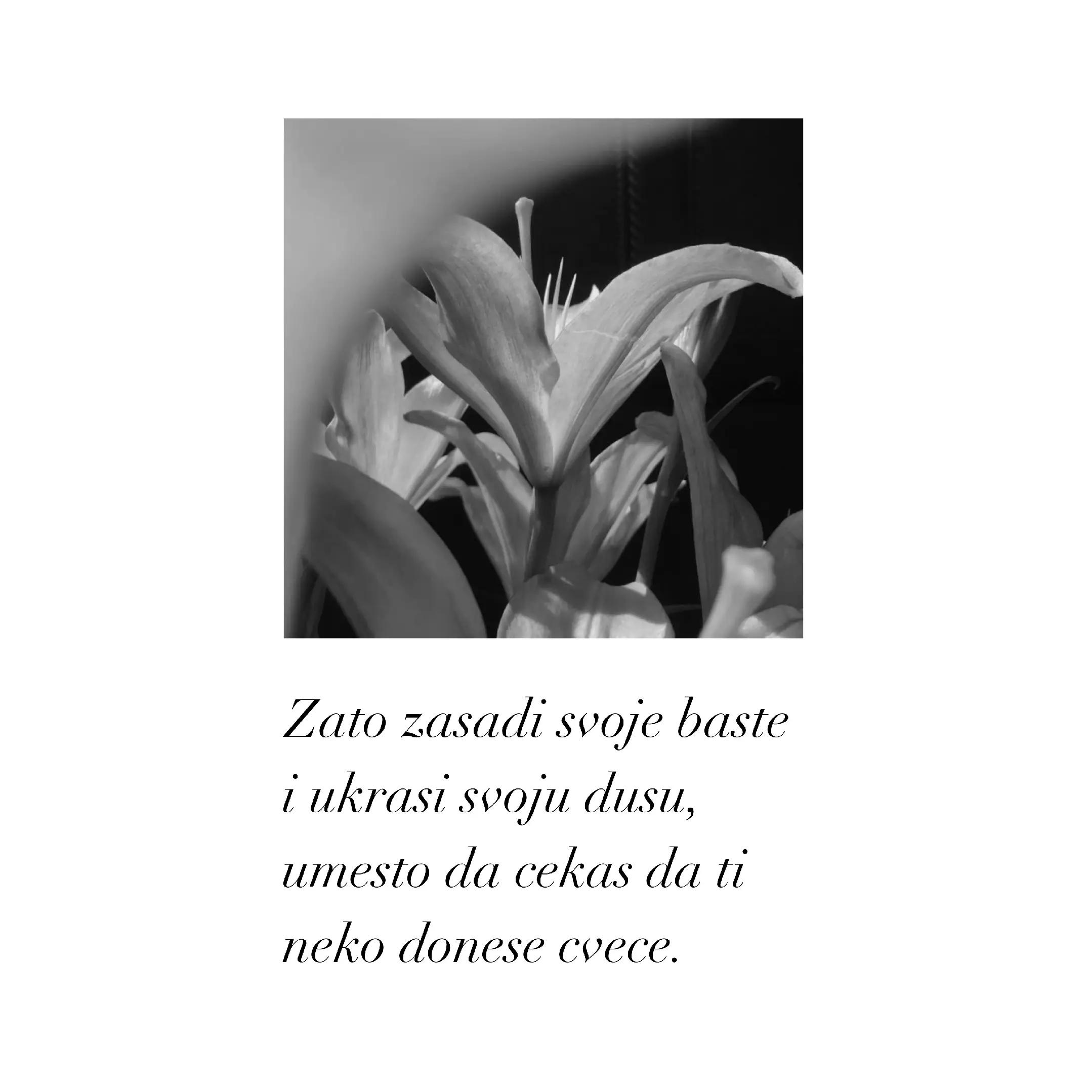 @𝑫 𝑰 𝑽 𝑰 𝑵 𝑬 🐈⬛