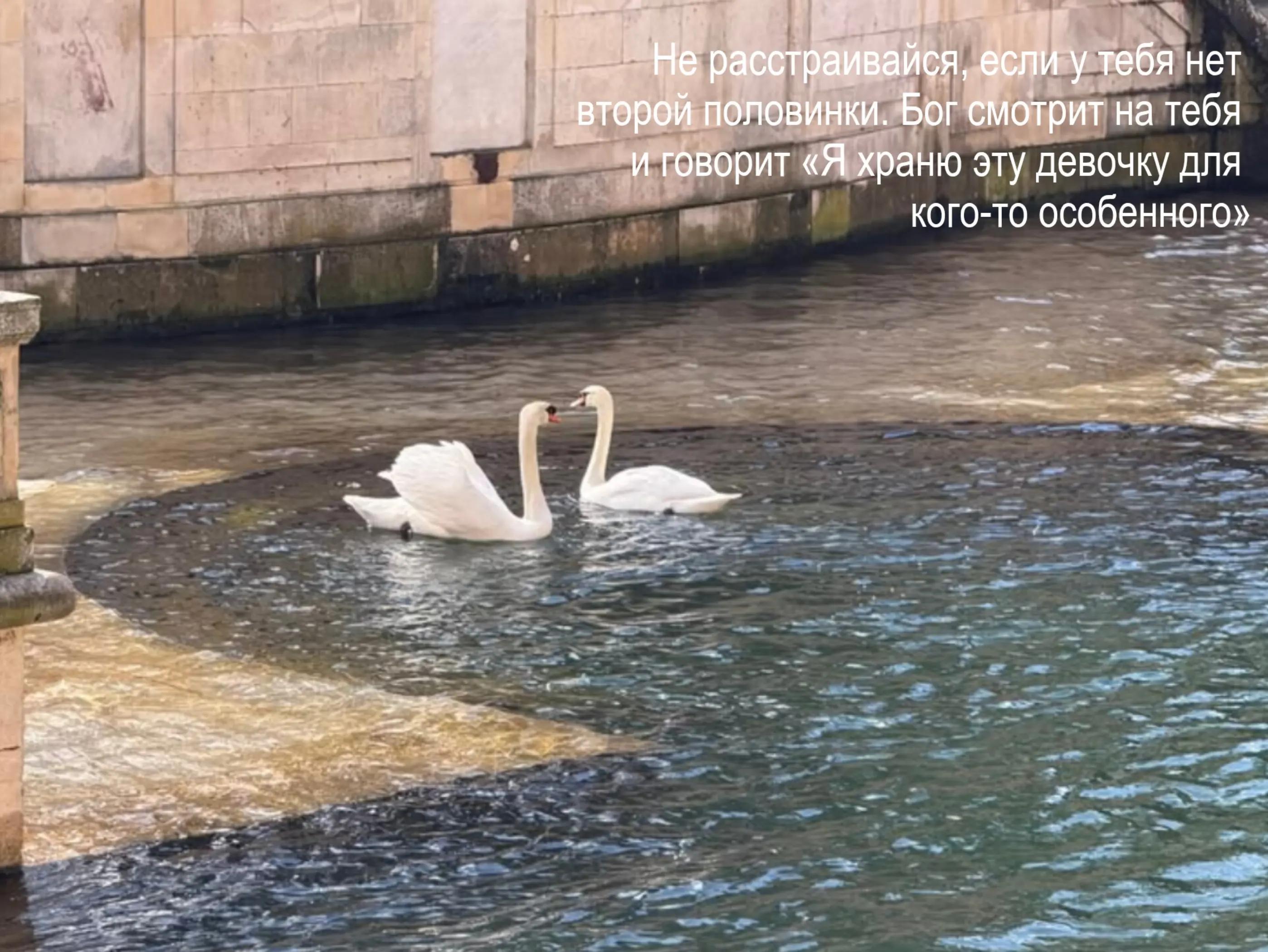 @𝒔𝒐𝒗𝒙𝒉𝒏𝒂𝒂𝒙