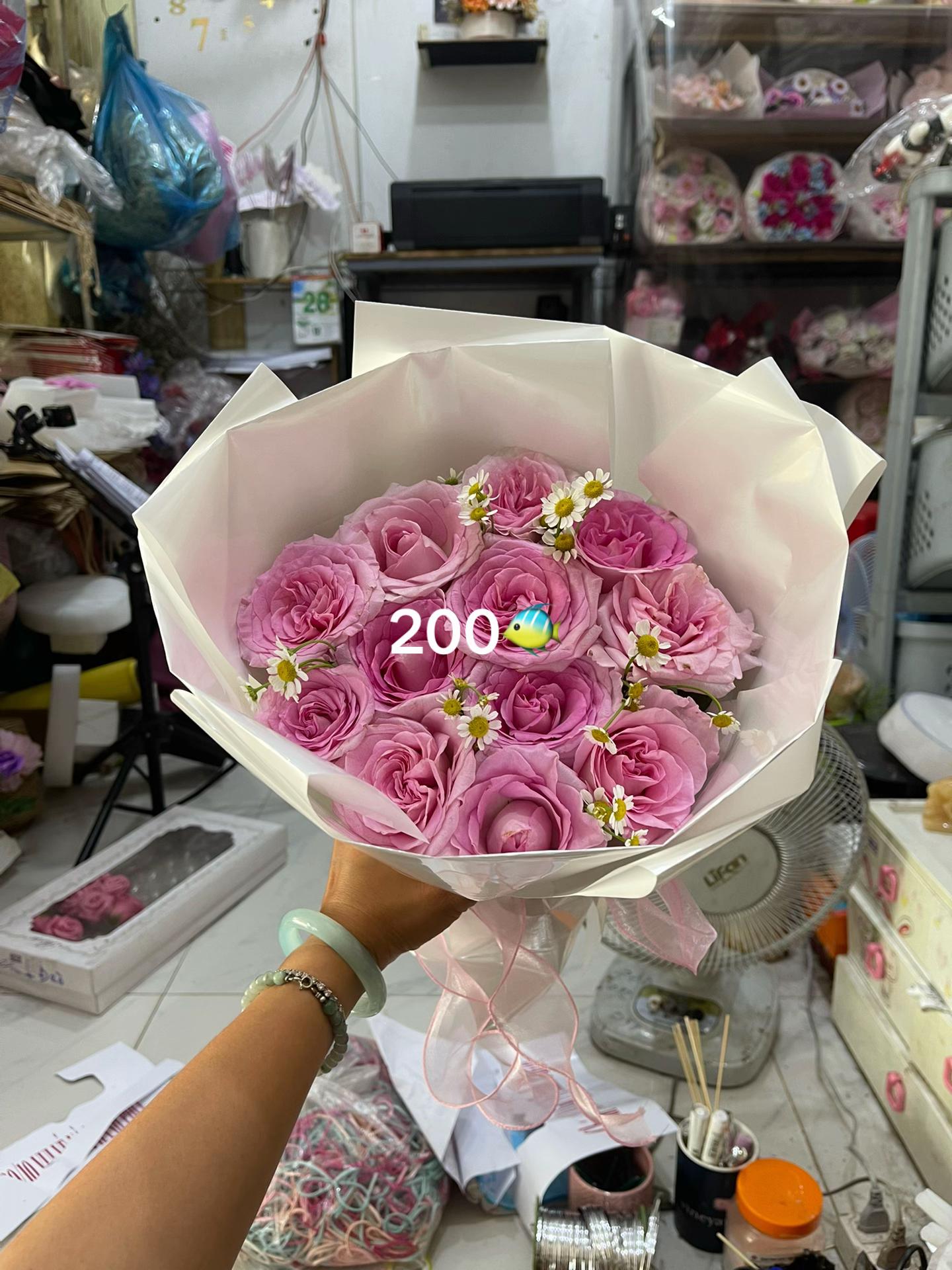 @Shop hoa MIMOSA TÂY NINH CŨ