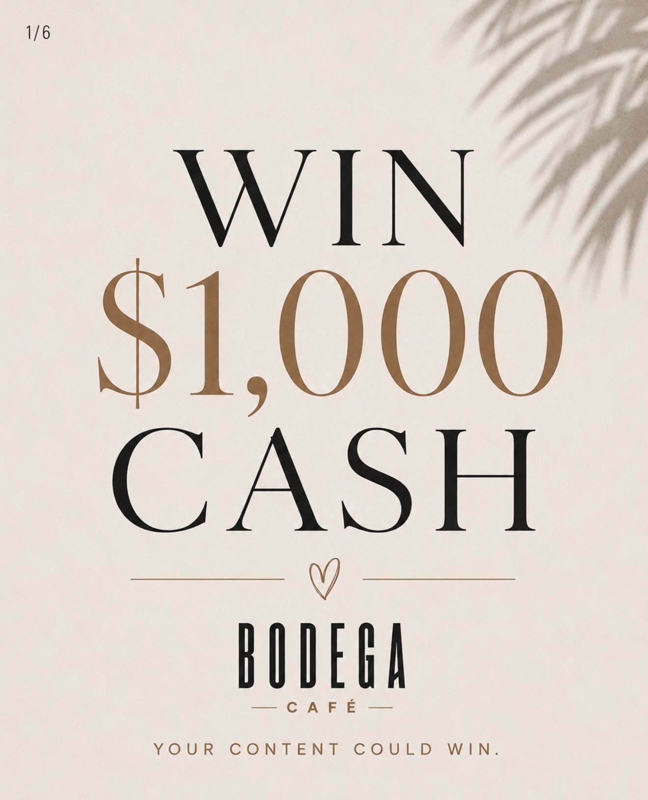 @labodega909