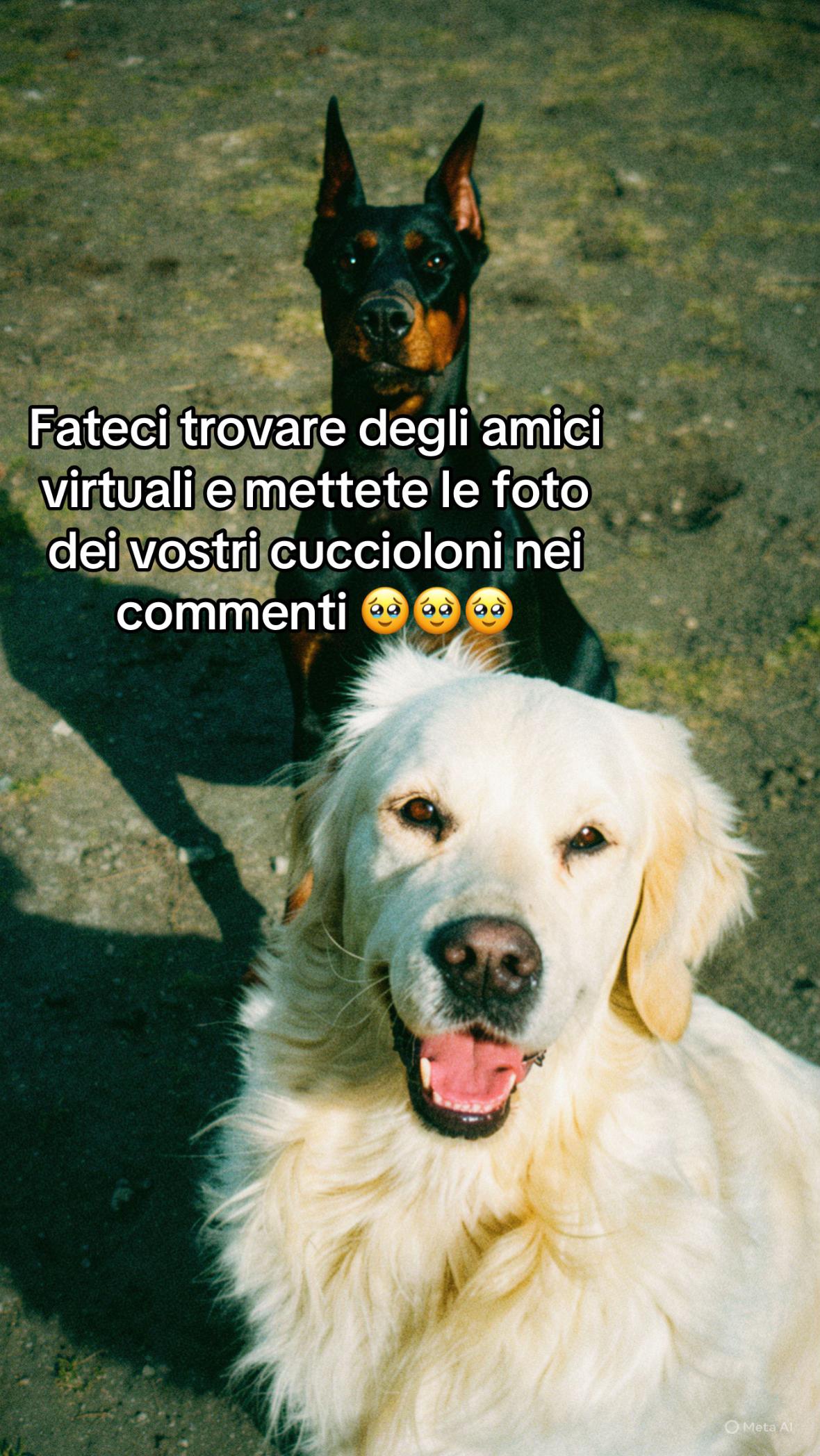 @Alessia Tedesco