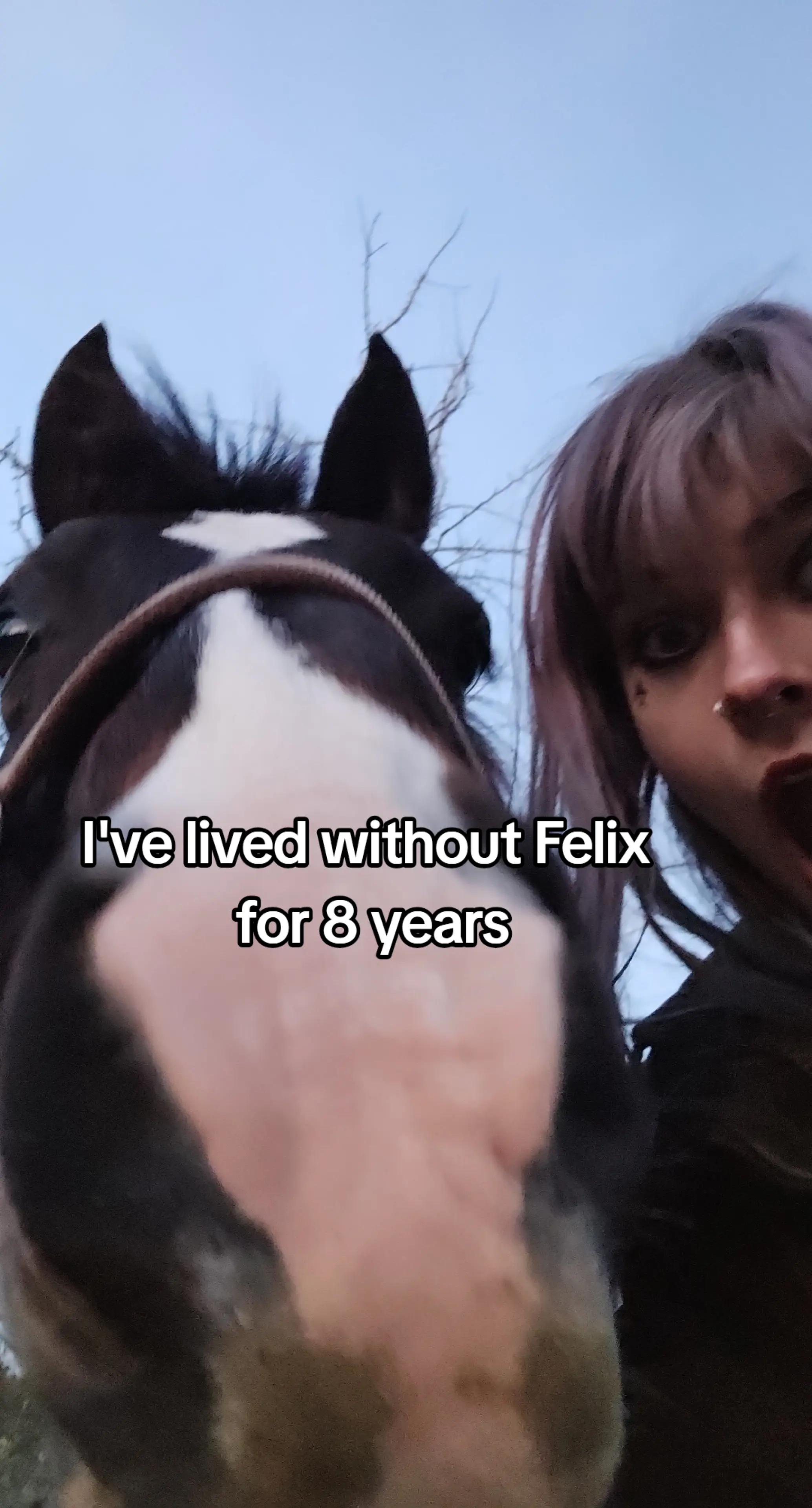 @Dino and horses