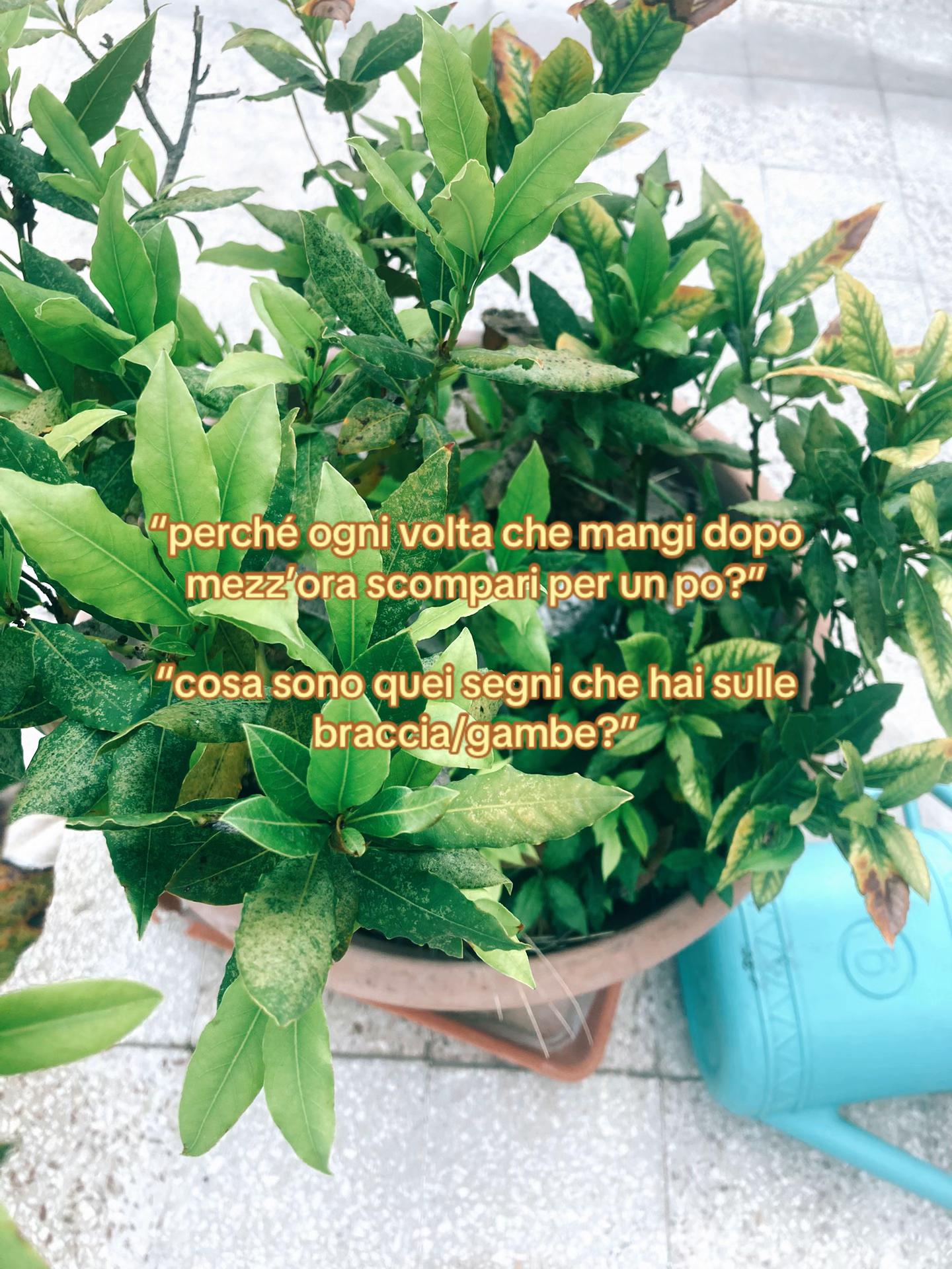 @just.4.l0s3r