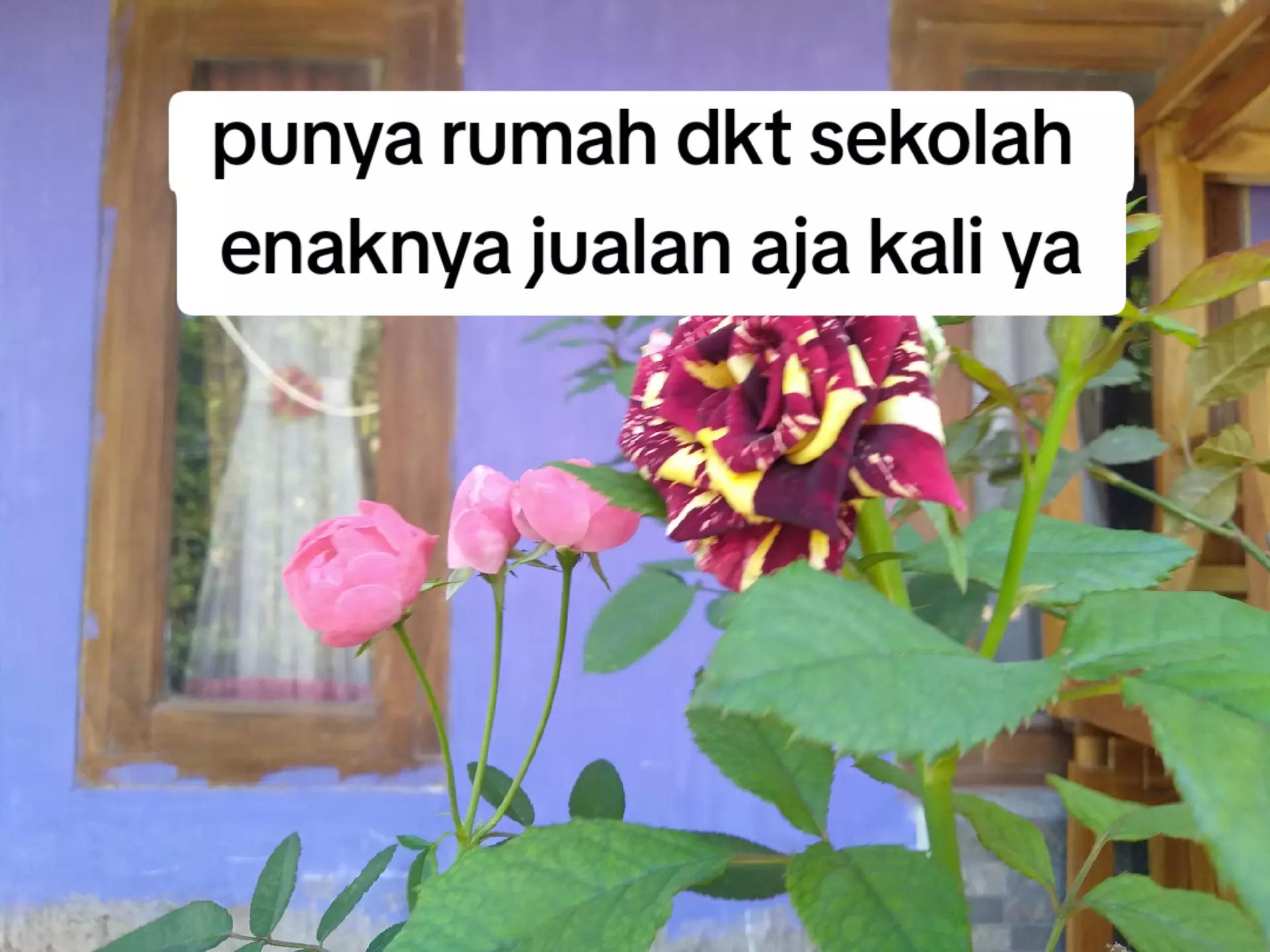 @khiarMuzzaki