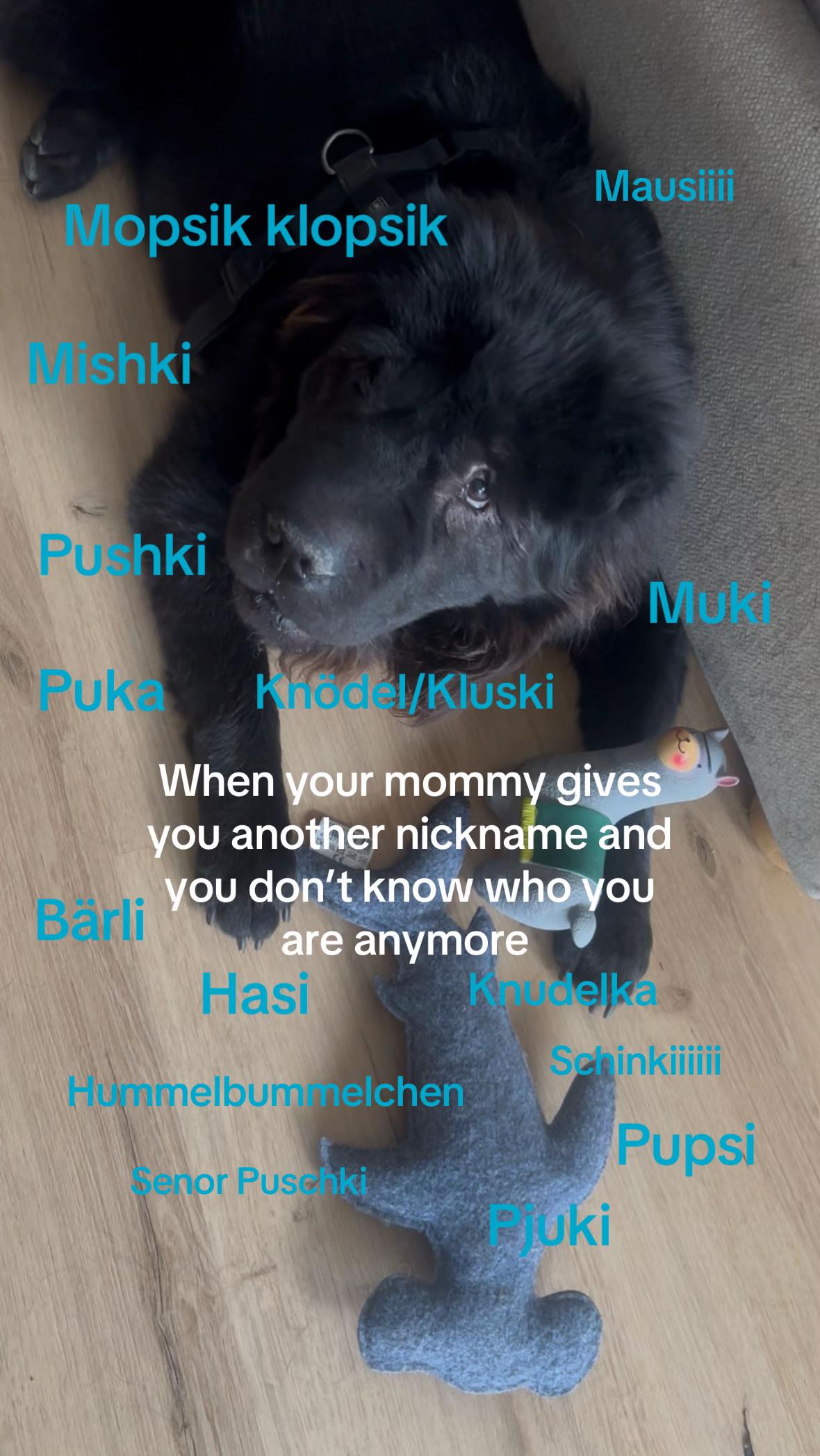 @Julka