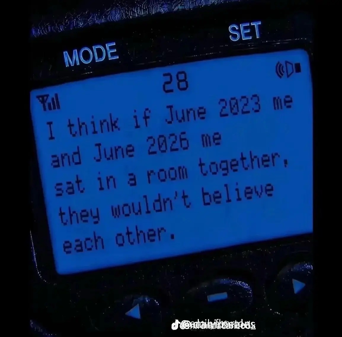 @shelby