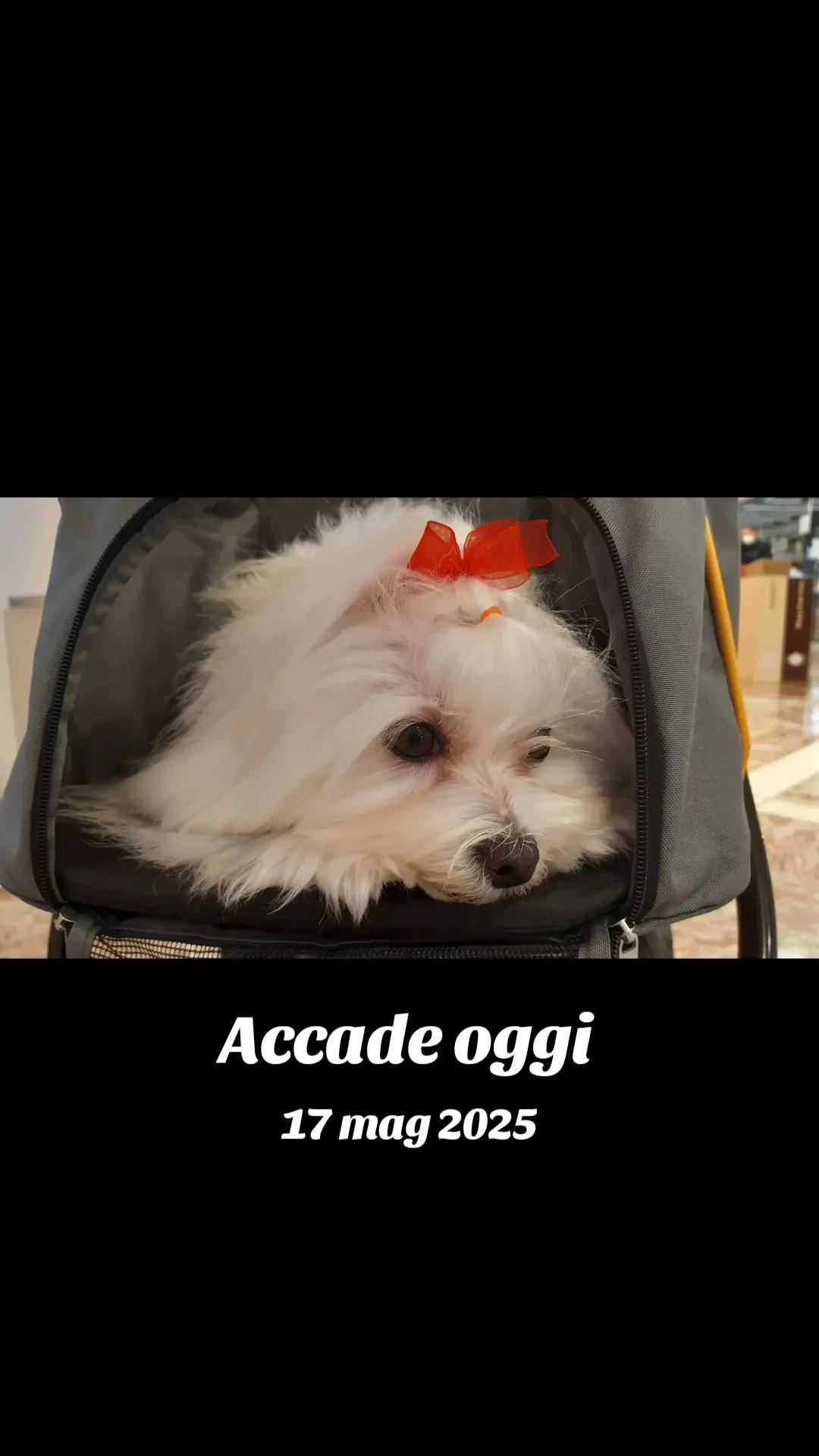 @úPiè