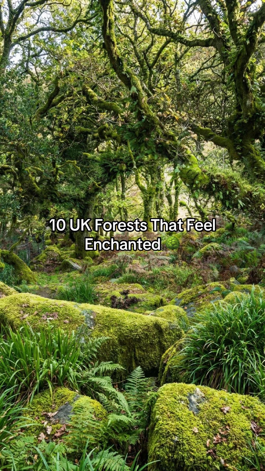 @UK Hidden Gems