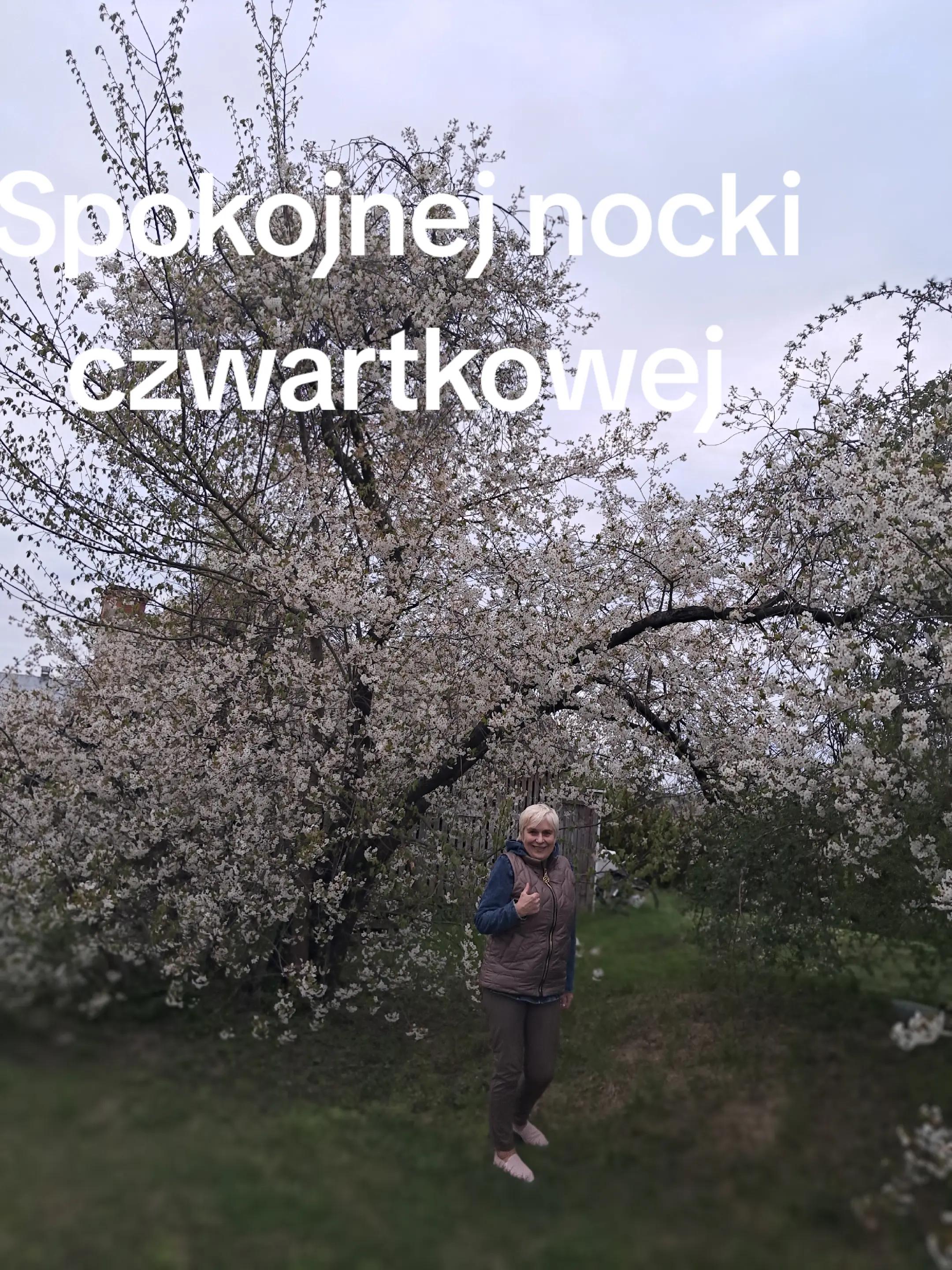 @Tessaskor