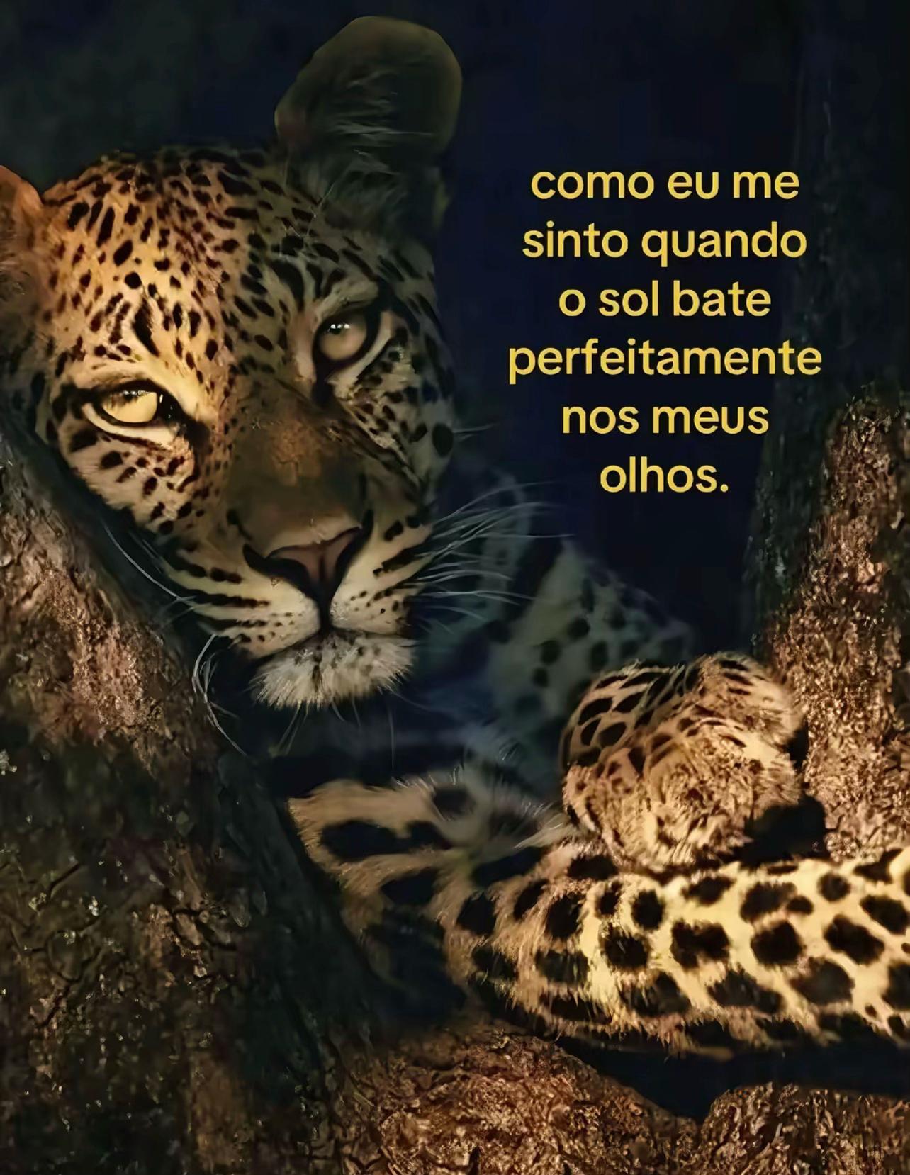 @𖤐 ana ju 𖤐