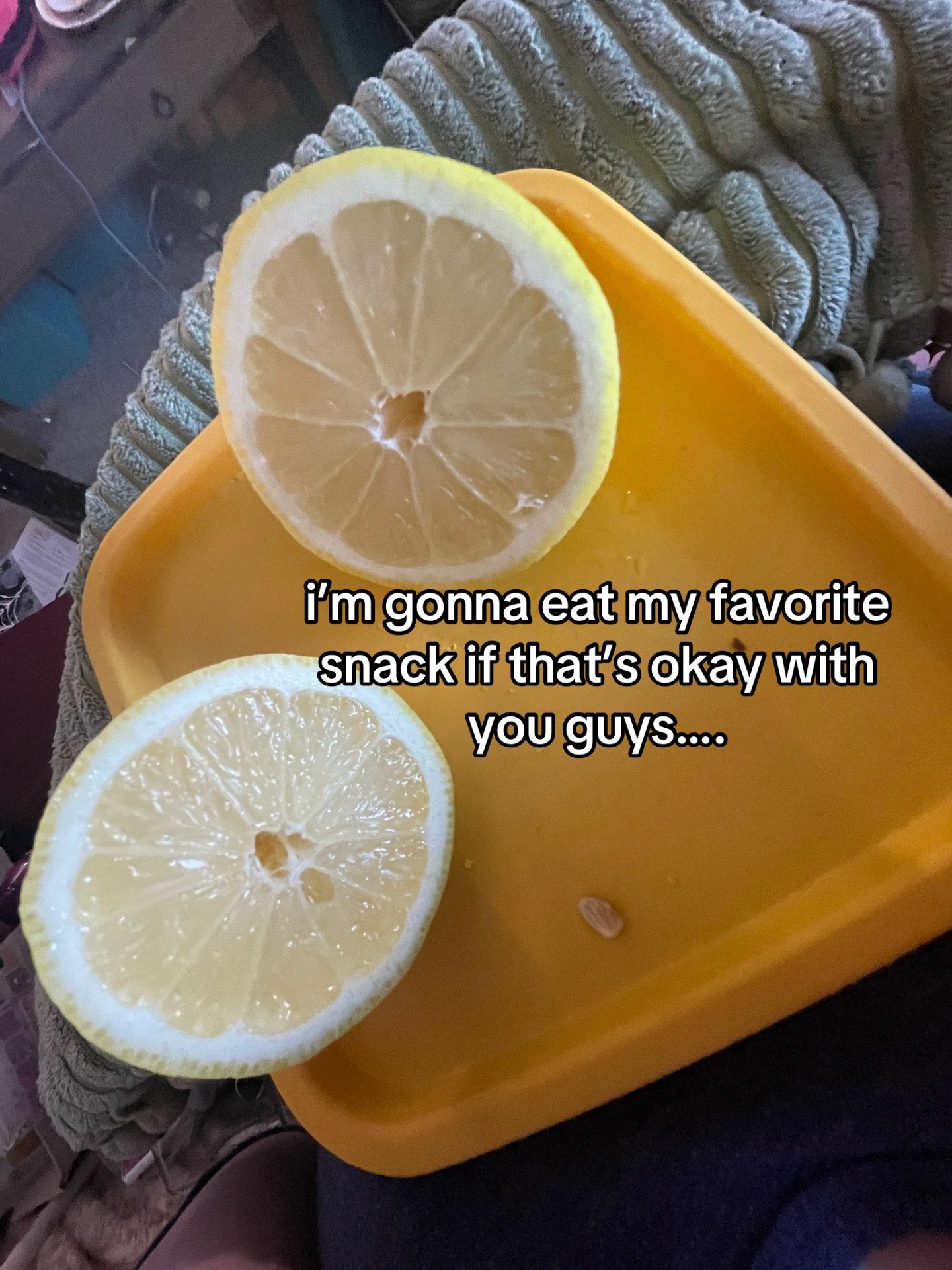 @jaylovesbugs