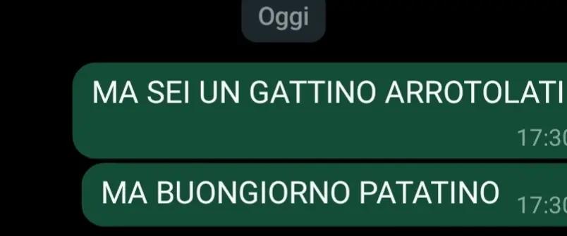 @Noetta🪸🐚