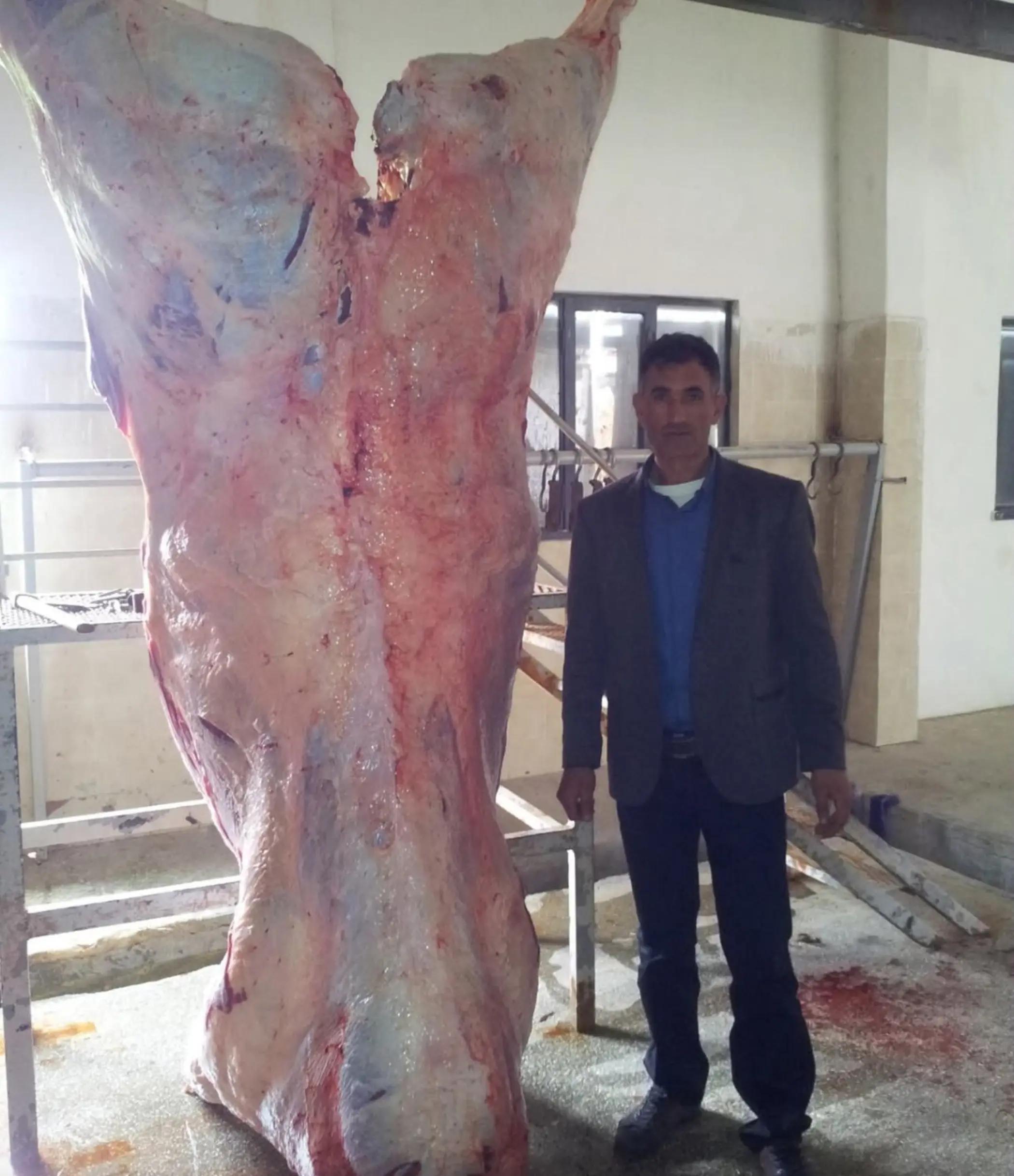 @baba yorgun