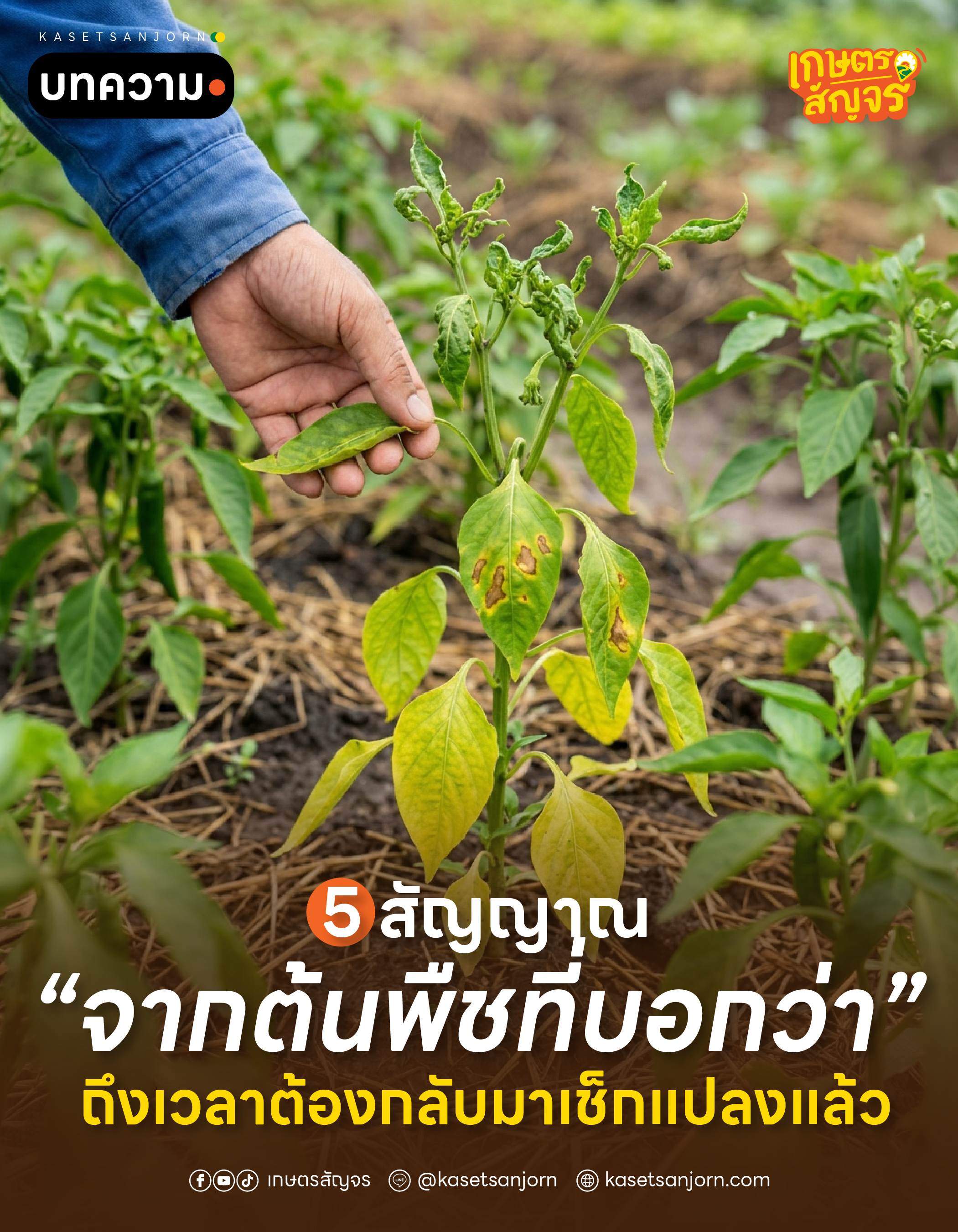 @เกษตรสัญจร
