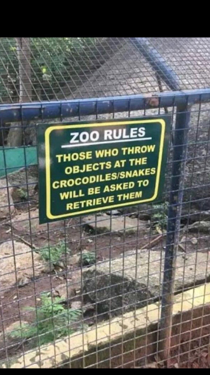 @Emma Bearman♋️