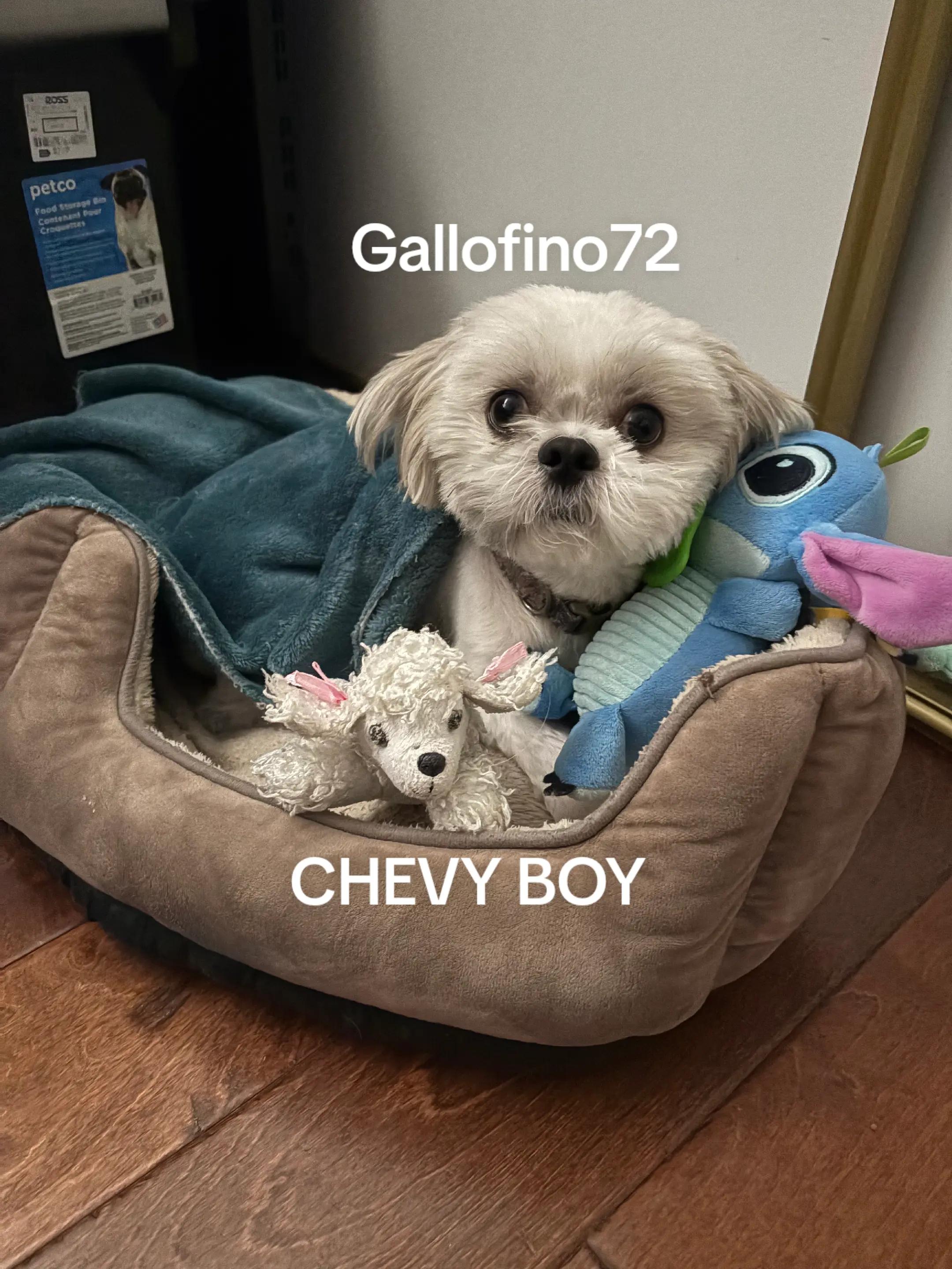 @ElGalloFino