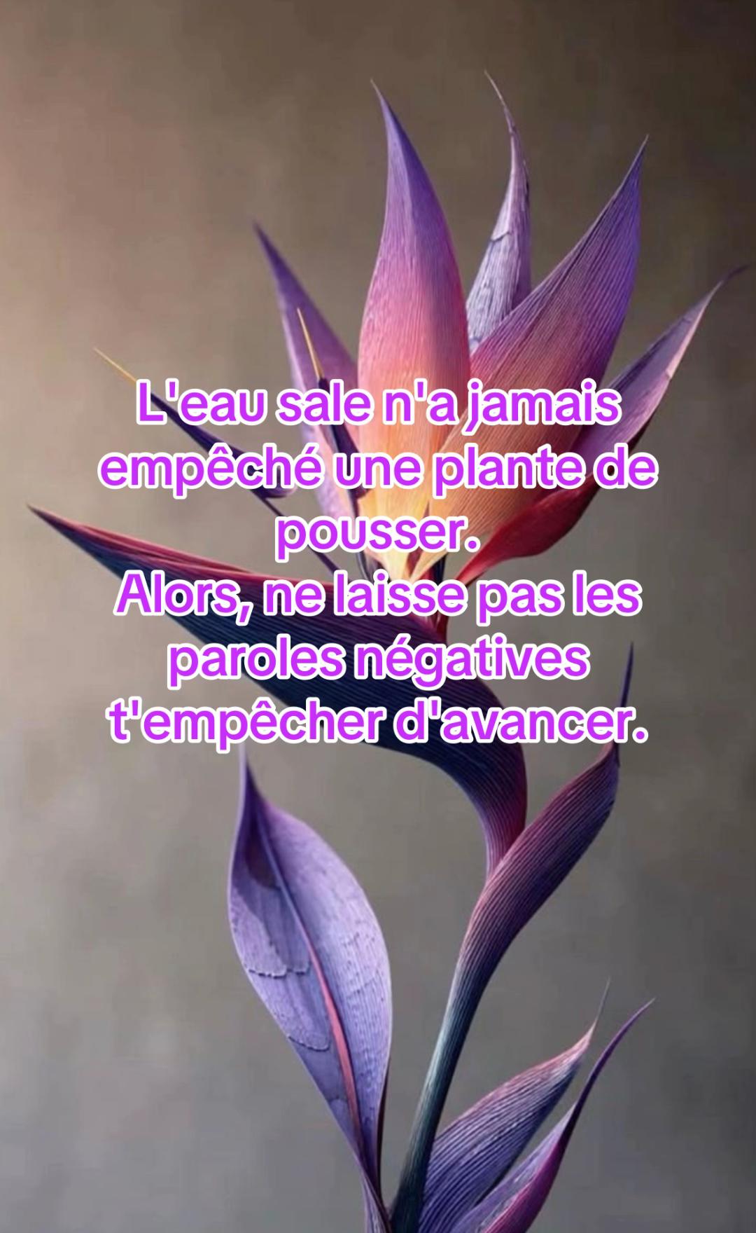 @🌺Amara🌺