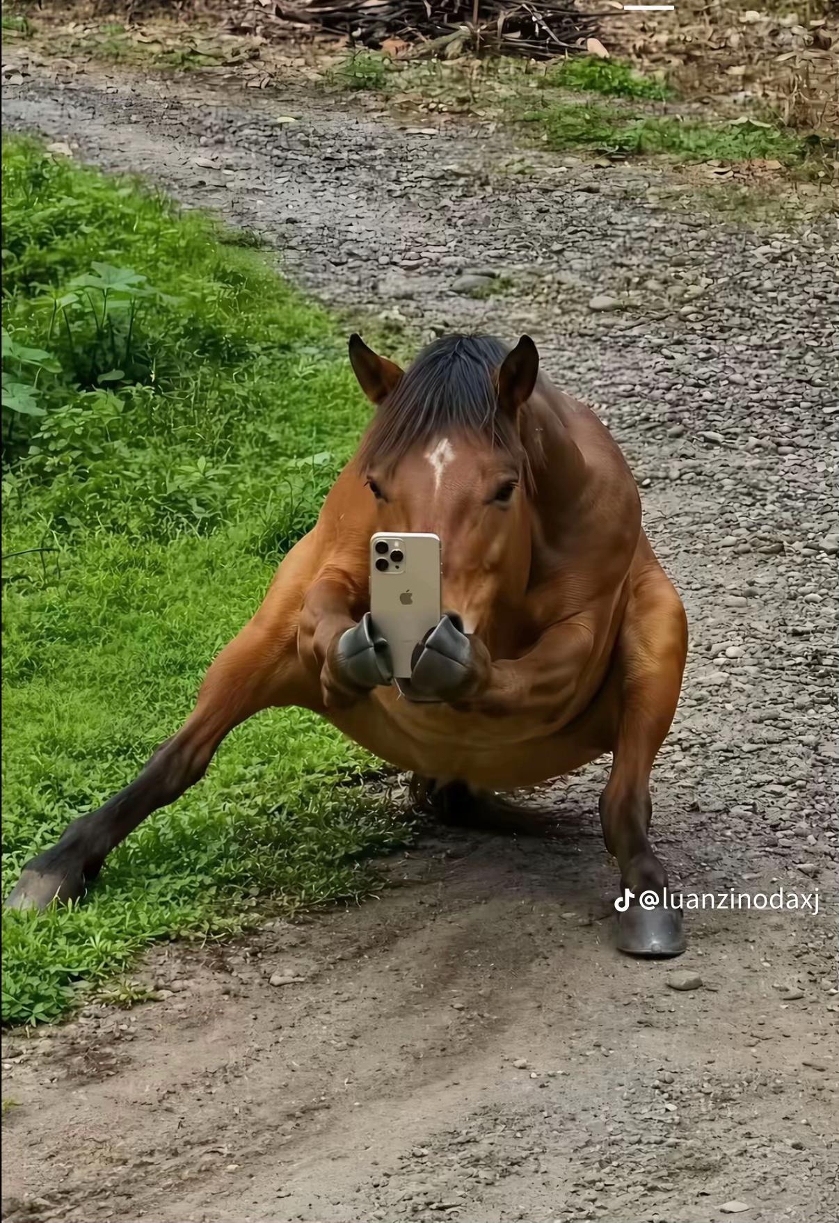 @PLuT0__