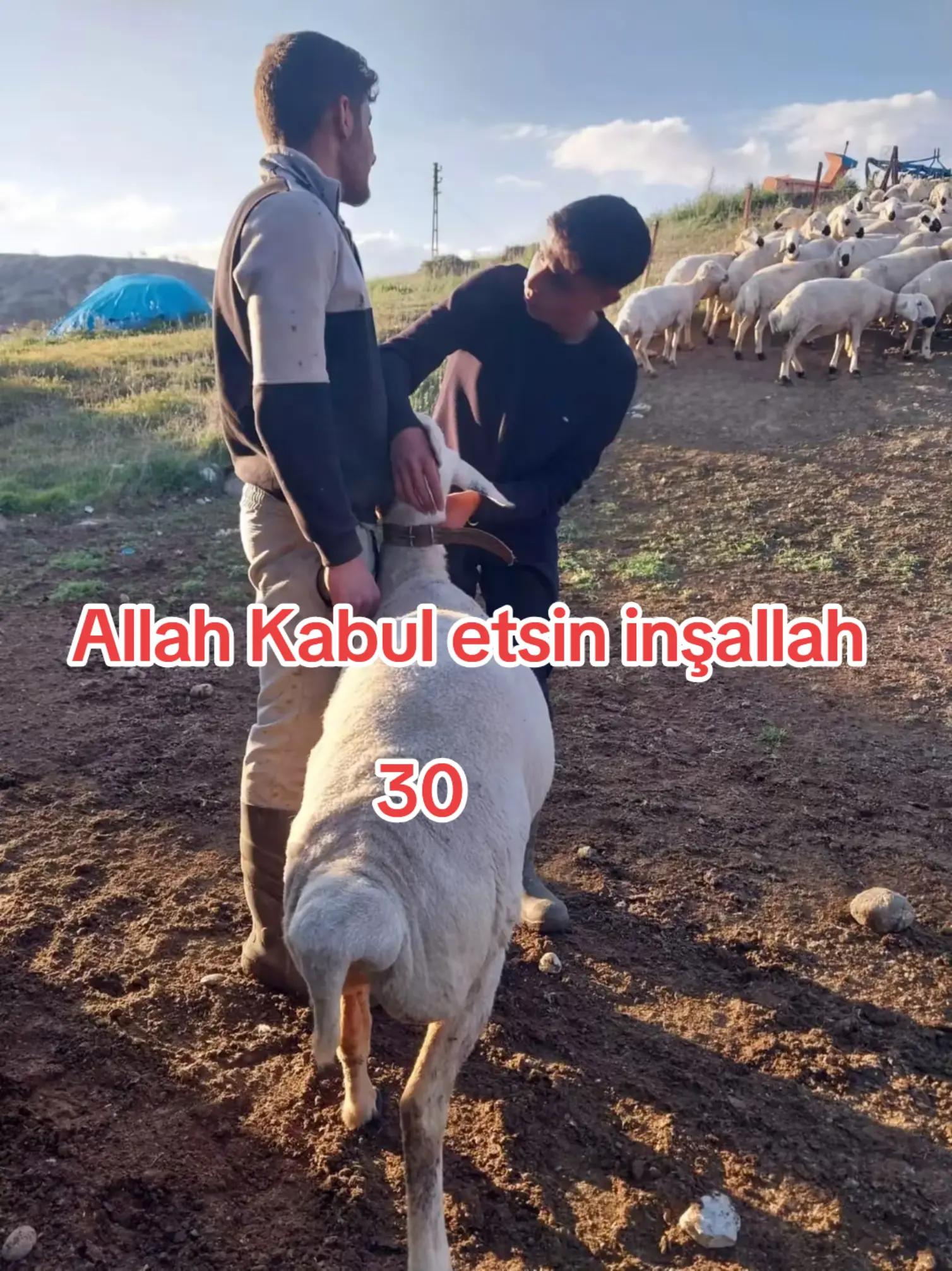 @✎﹏﹏𝐾𝑎𝑑𝑖𝑟 Ş𝑎ℎ&icirc;𝑛﹏﹏