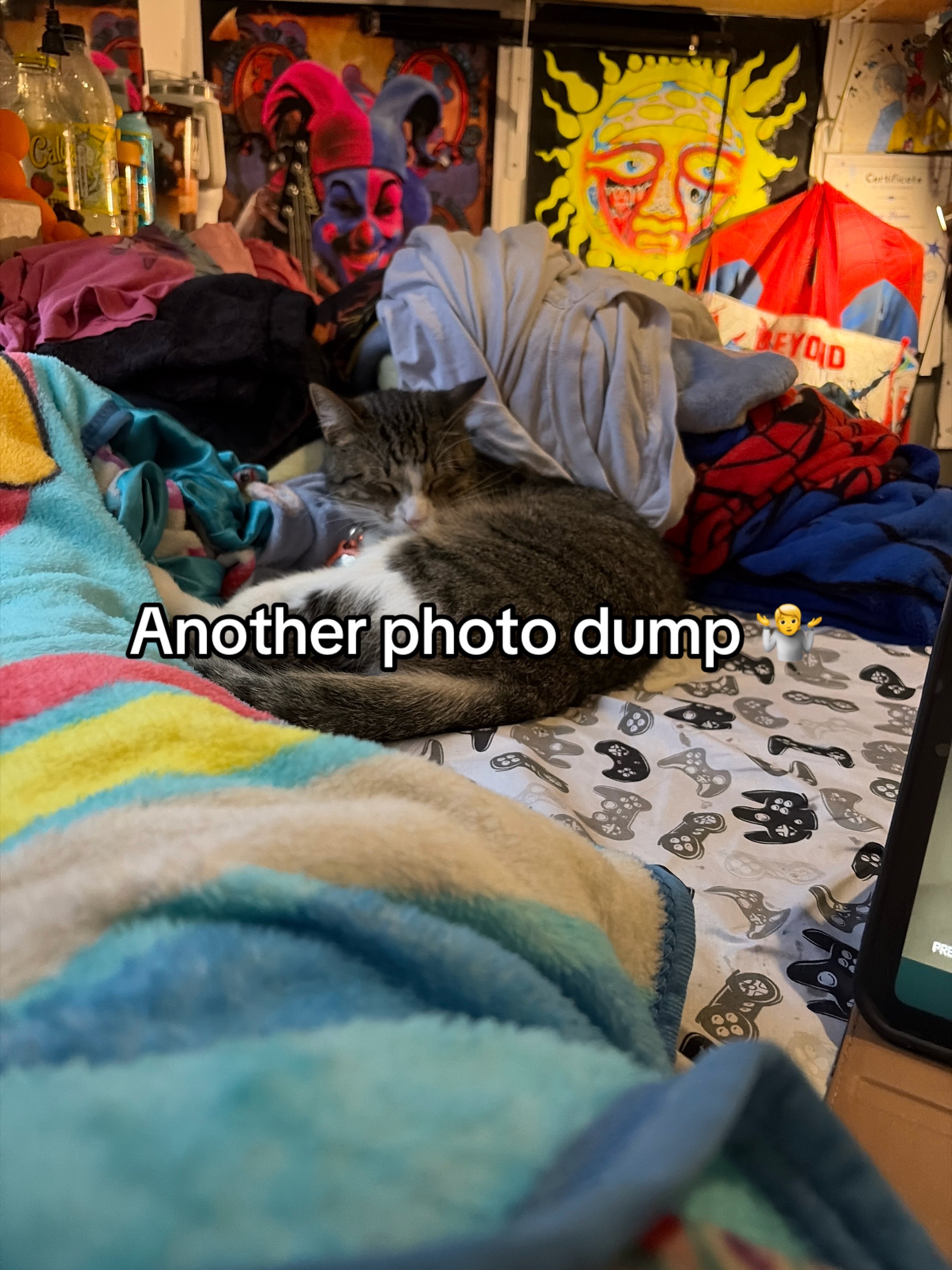 @˙˚⊹ѕєтну ωєтну🪽