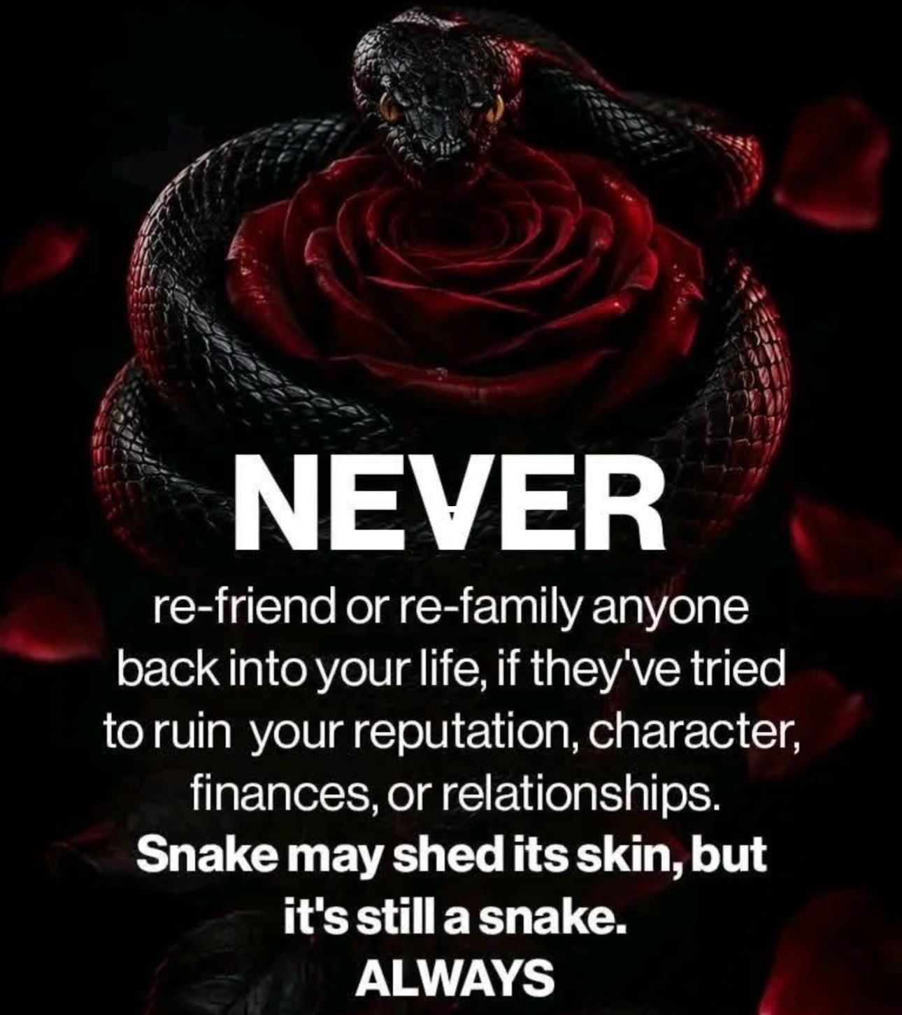 @Sarah❌