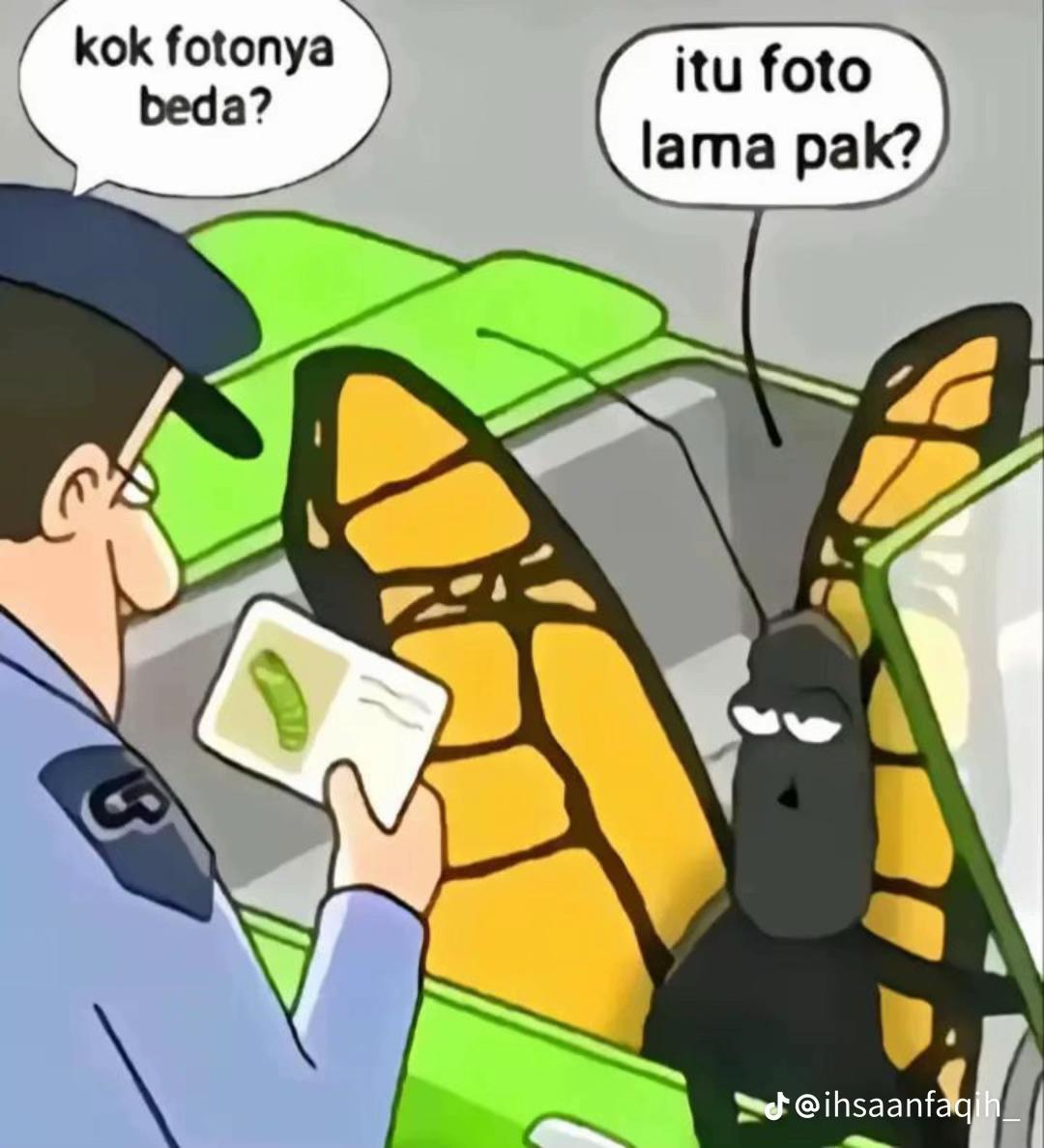 @aill777