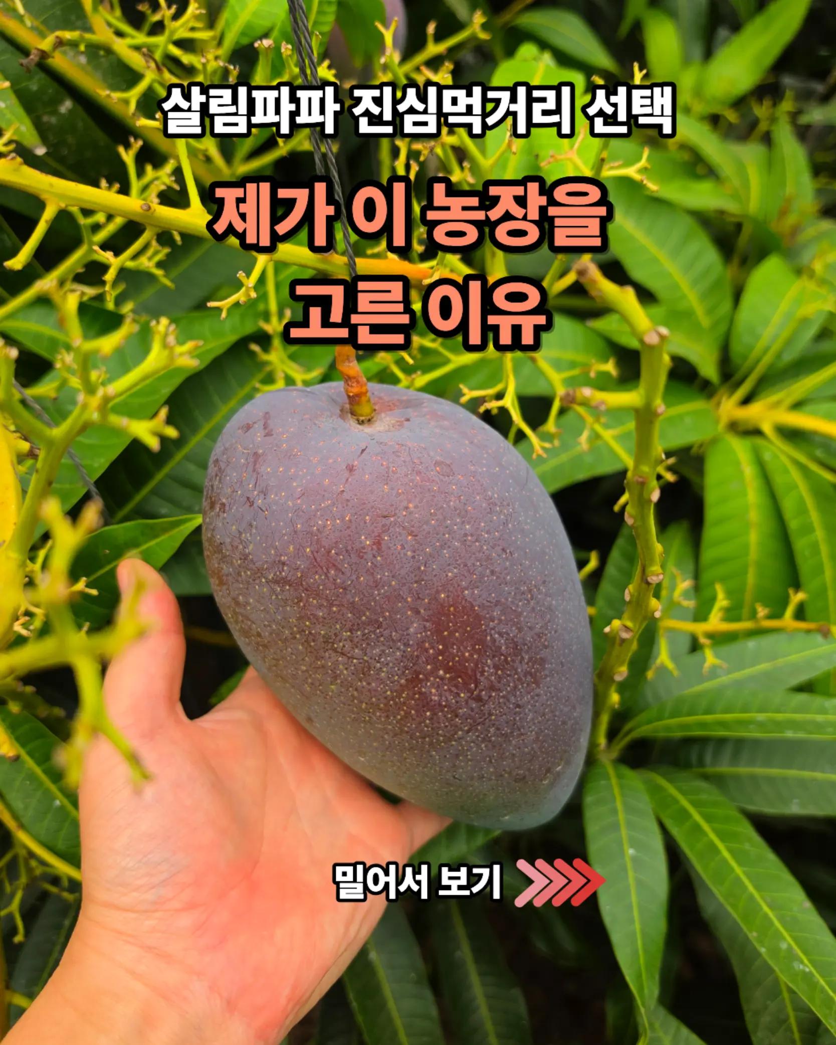 @진심먹거리
