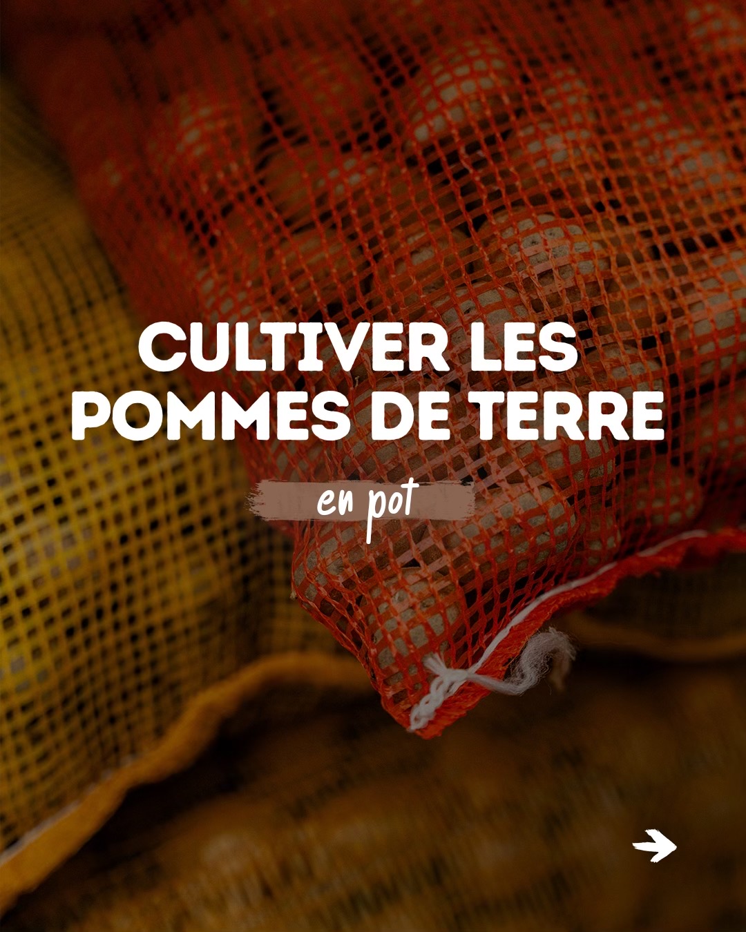 @Goran Le Permaculteur