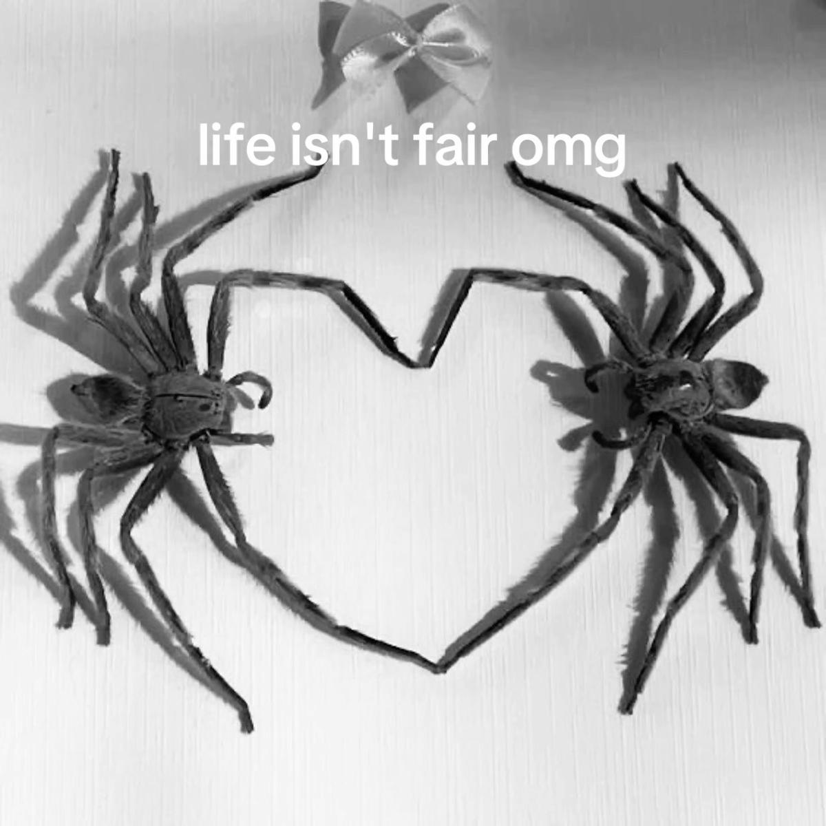 @julia