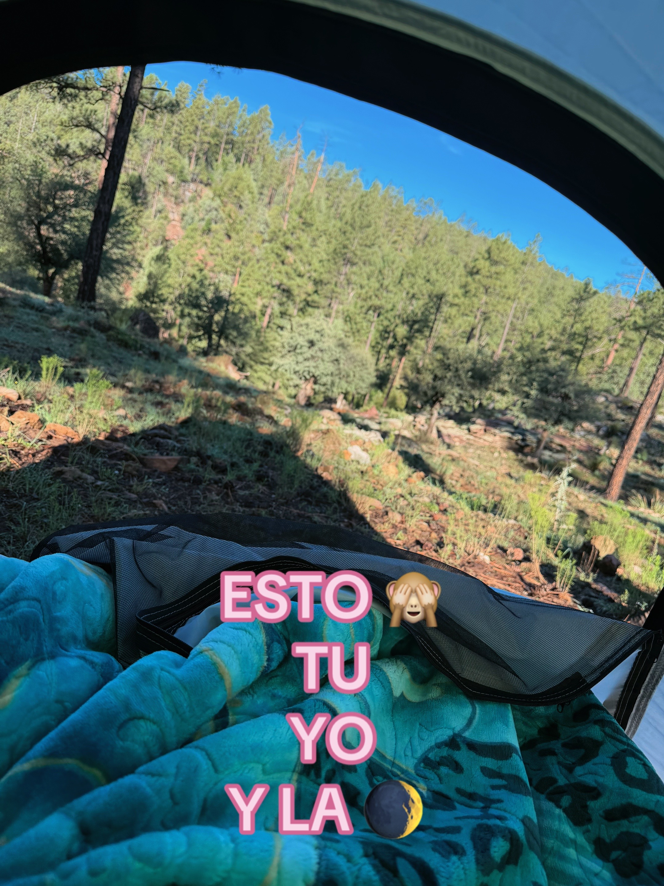 @✨🌺BETTYMARQUEZ🌺✨
