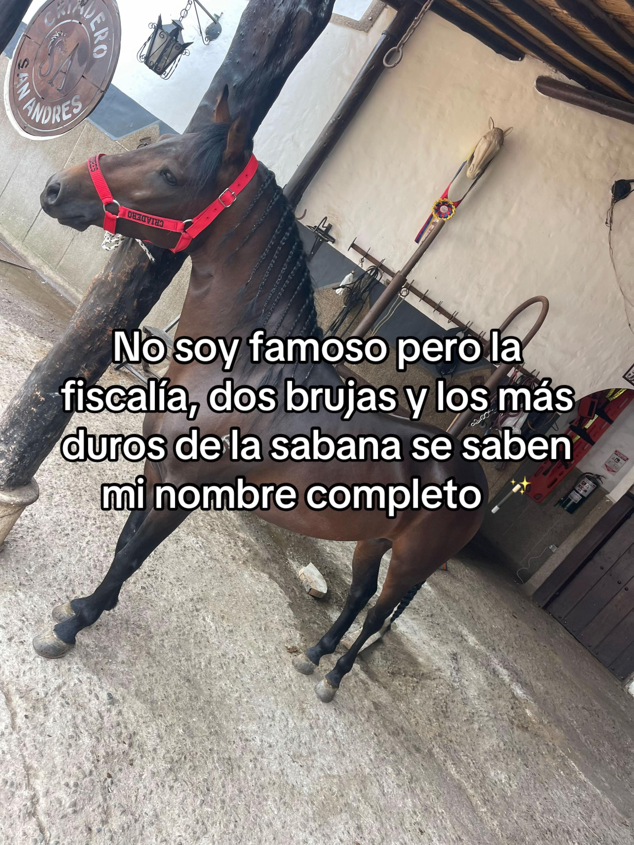 @Juan Rodríguez 🐄