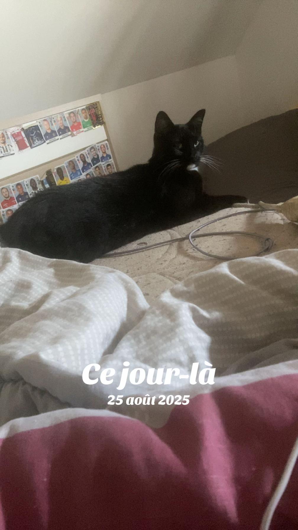 @Améliesecour