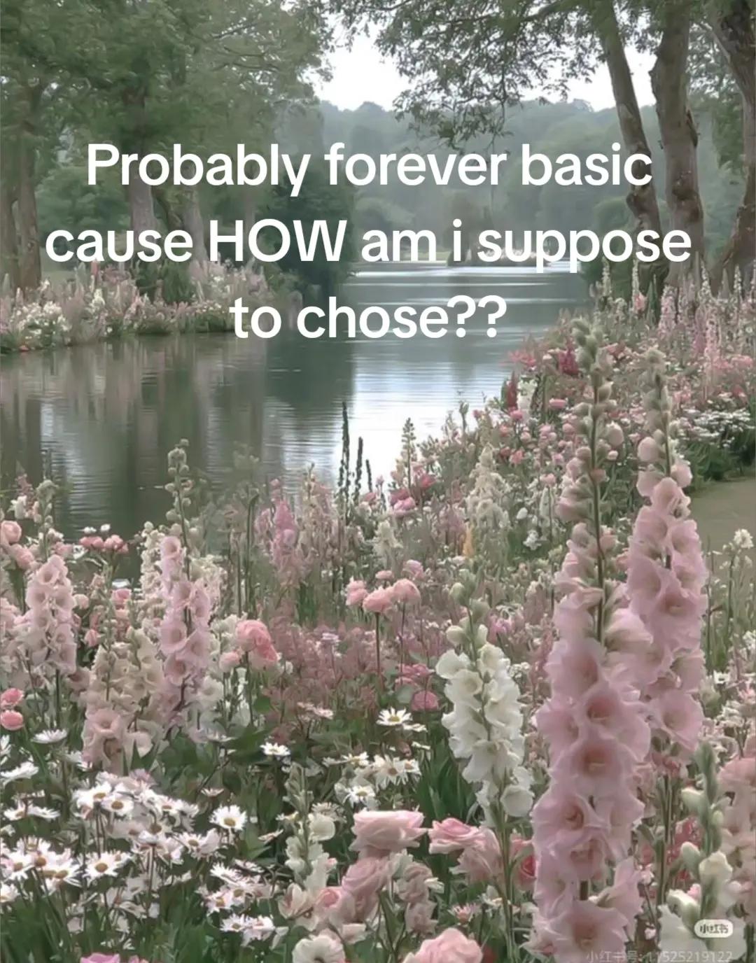 @⋆.˚🦴༘💗 ℕ𝕚𝕓𝕓𝕝𝕖 ⋆.˚💗༘🦴