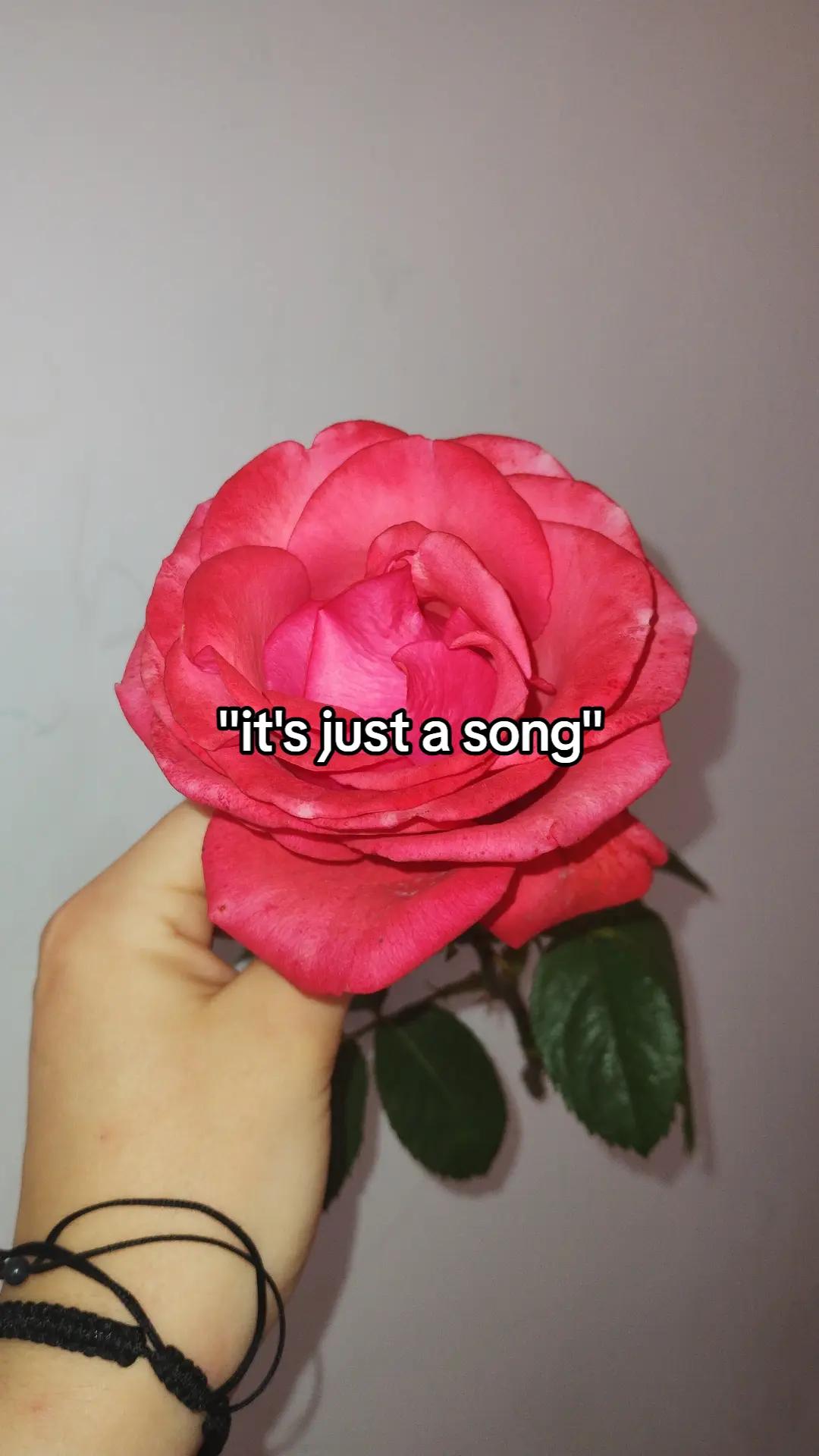 @luiza