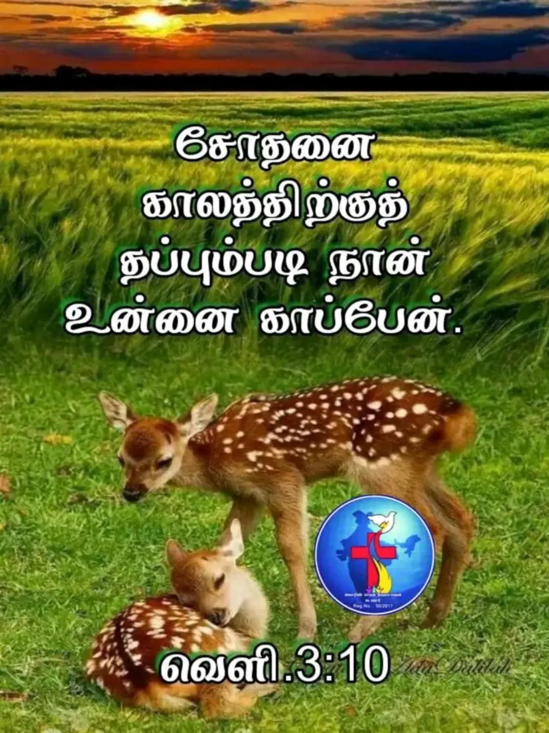 @✨💙🦋ᴊᴇꜱᴜꜱ💙ʟᴏᴠᴇ💙ᴛʜᴀɴᴜ🦋💙✨