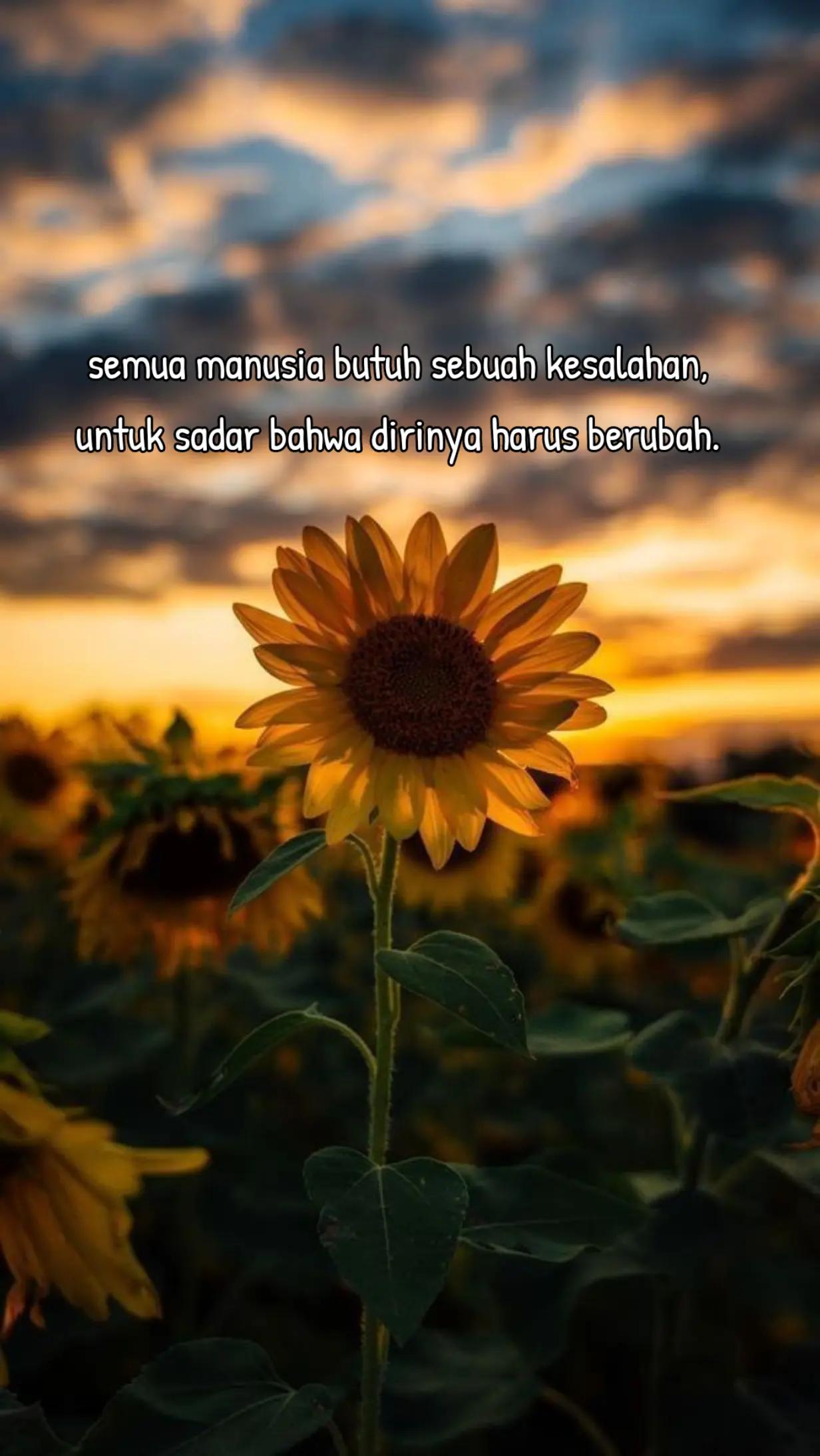 @izzafadilah