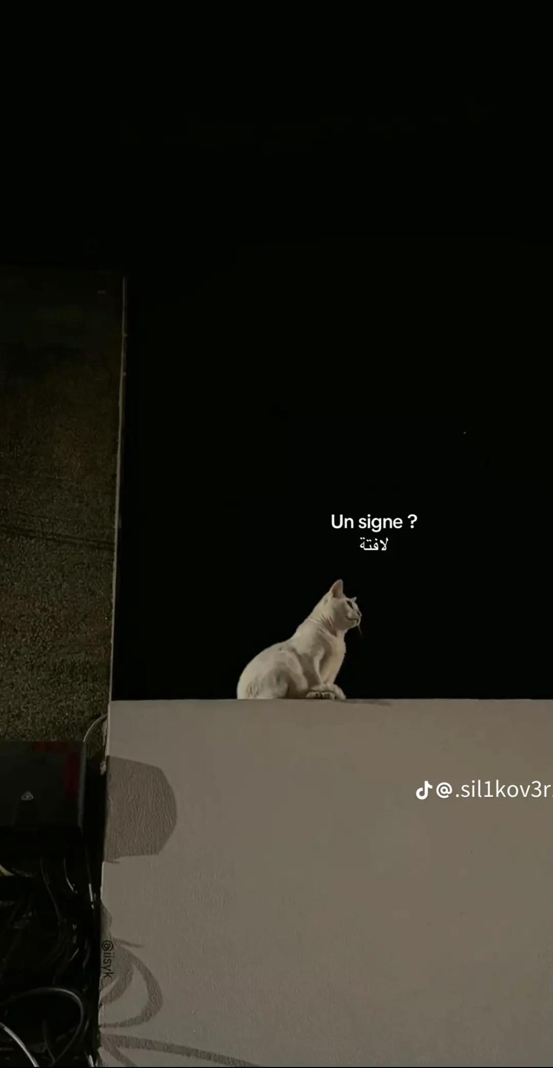 @عائلة سعيدة