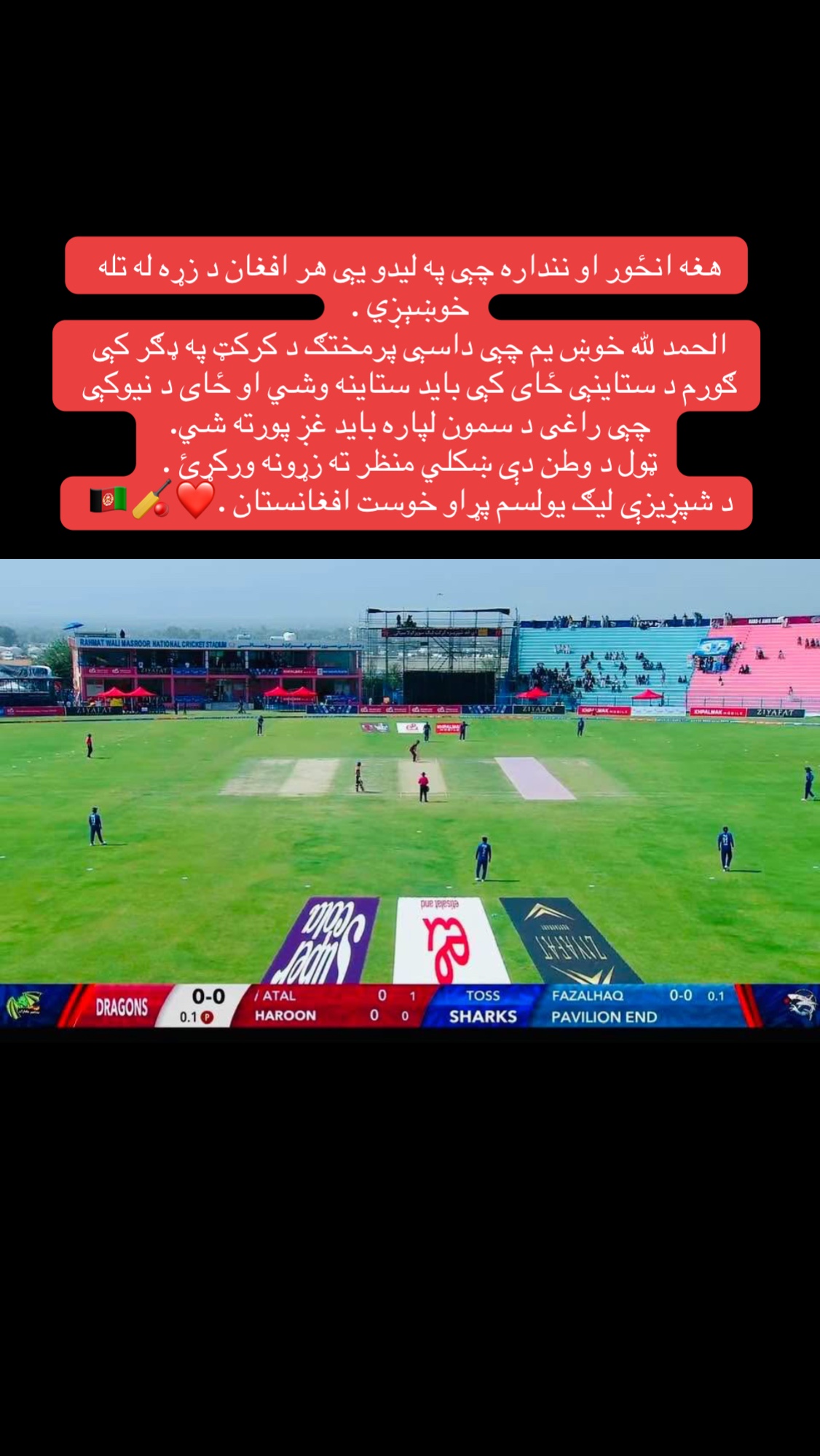 @LQ_Edit ✔