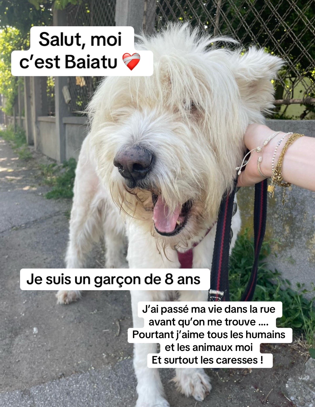 @Adopte Une Truffe 🐶