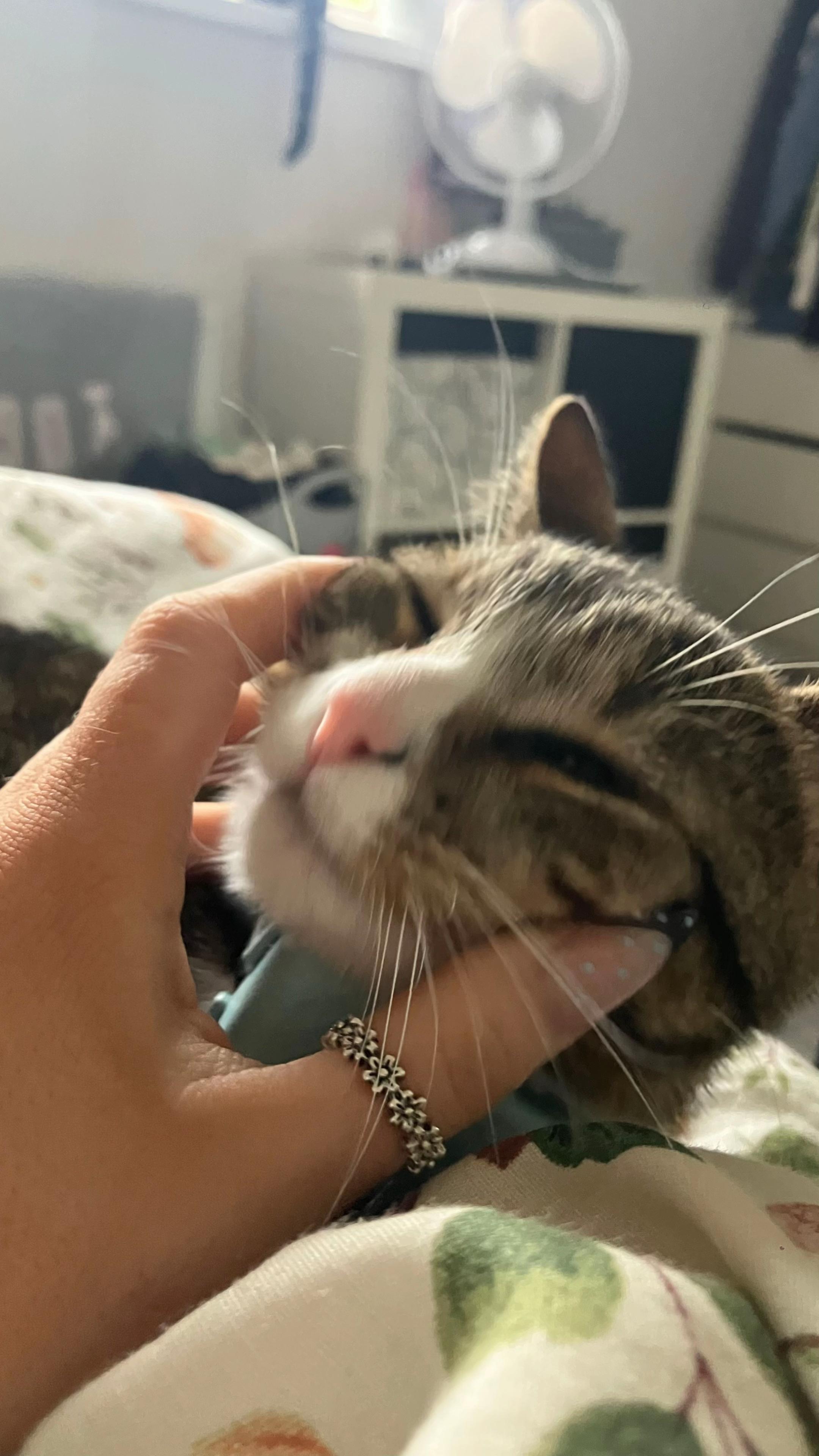 @Jessy J🍋&zwj;🟩💚