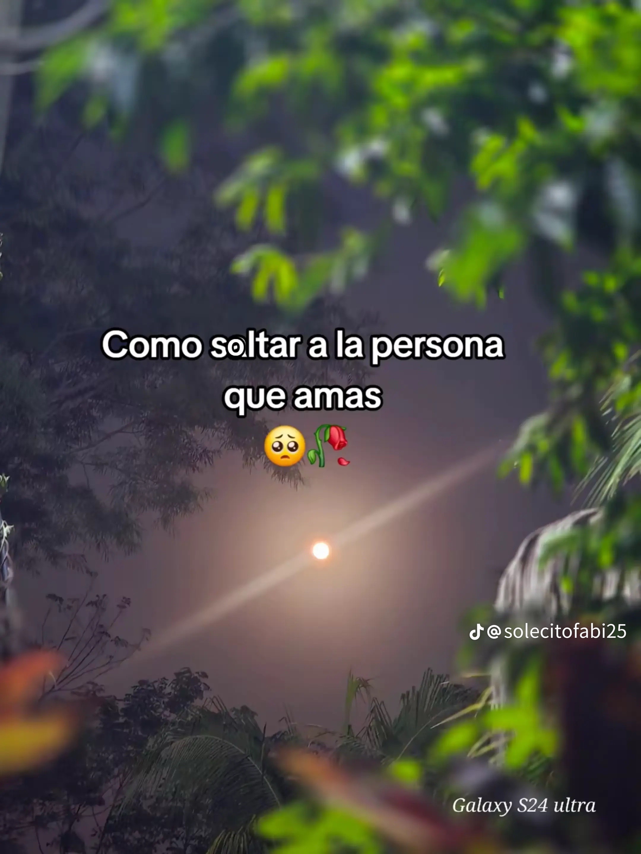 @Carmen Diaz