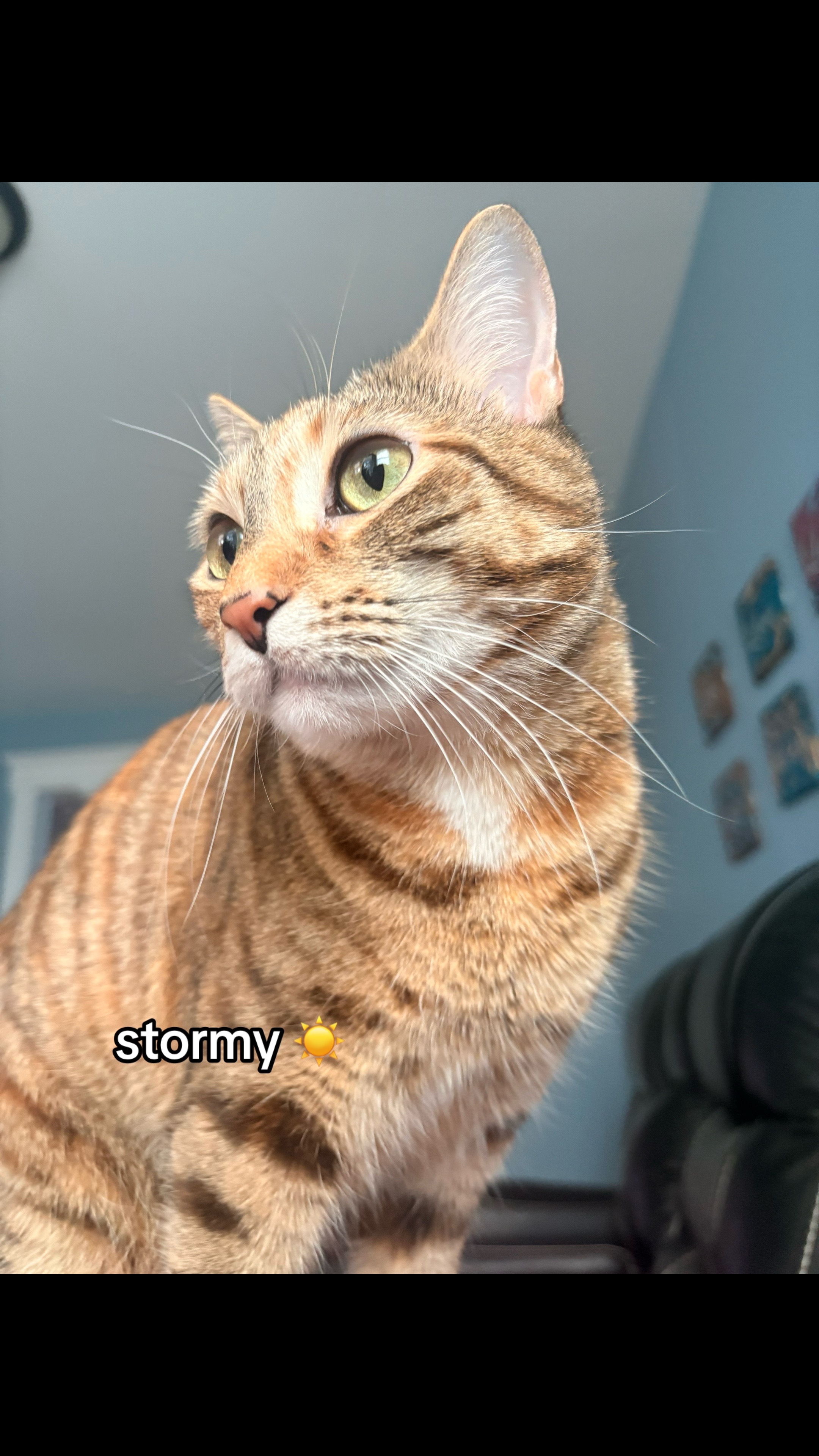@Stormy