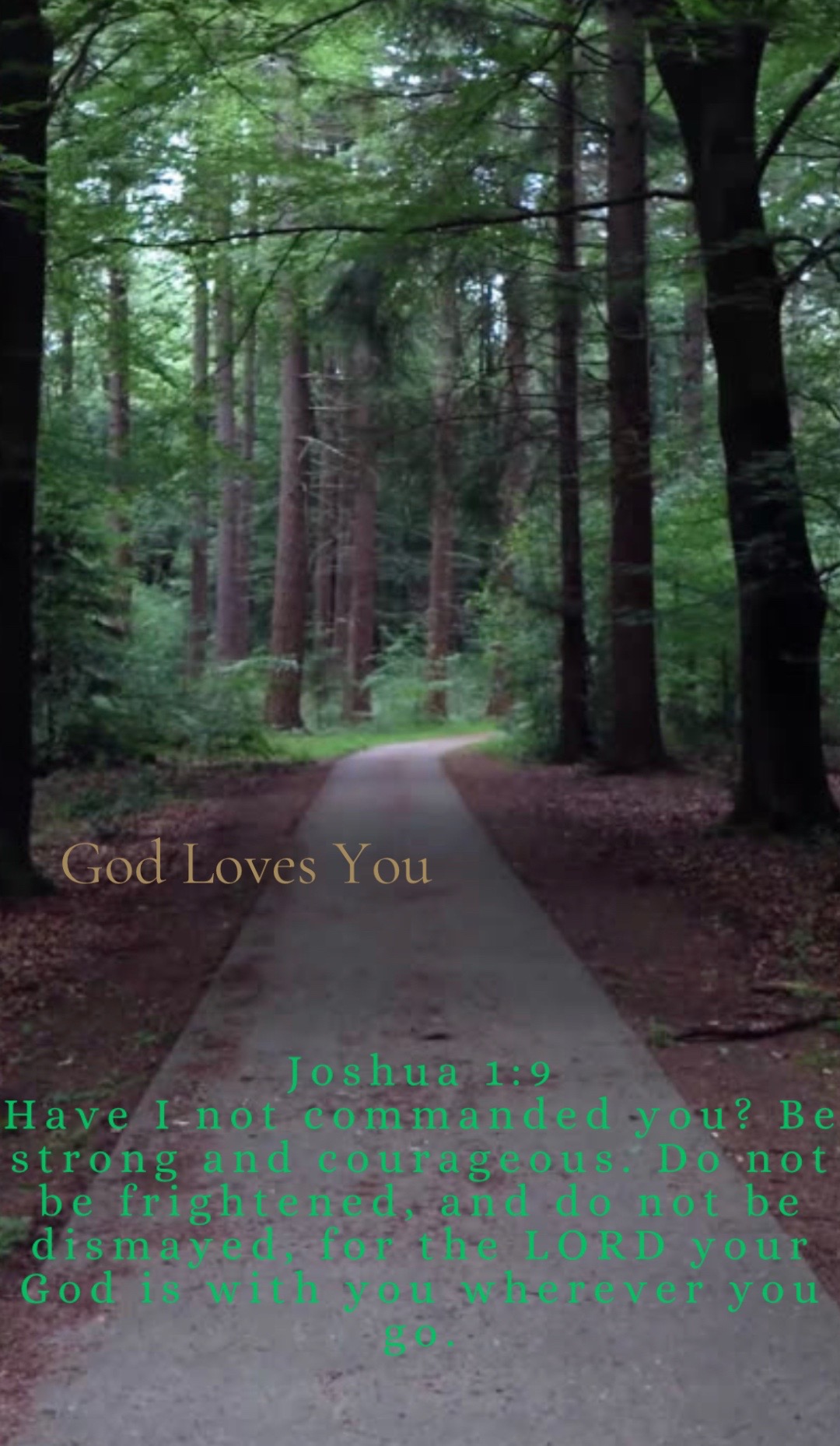 @Uplifting Daily Quotes