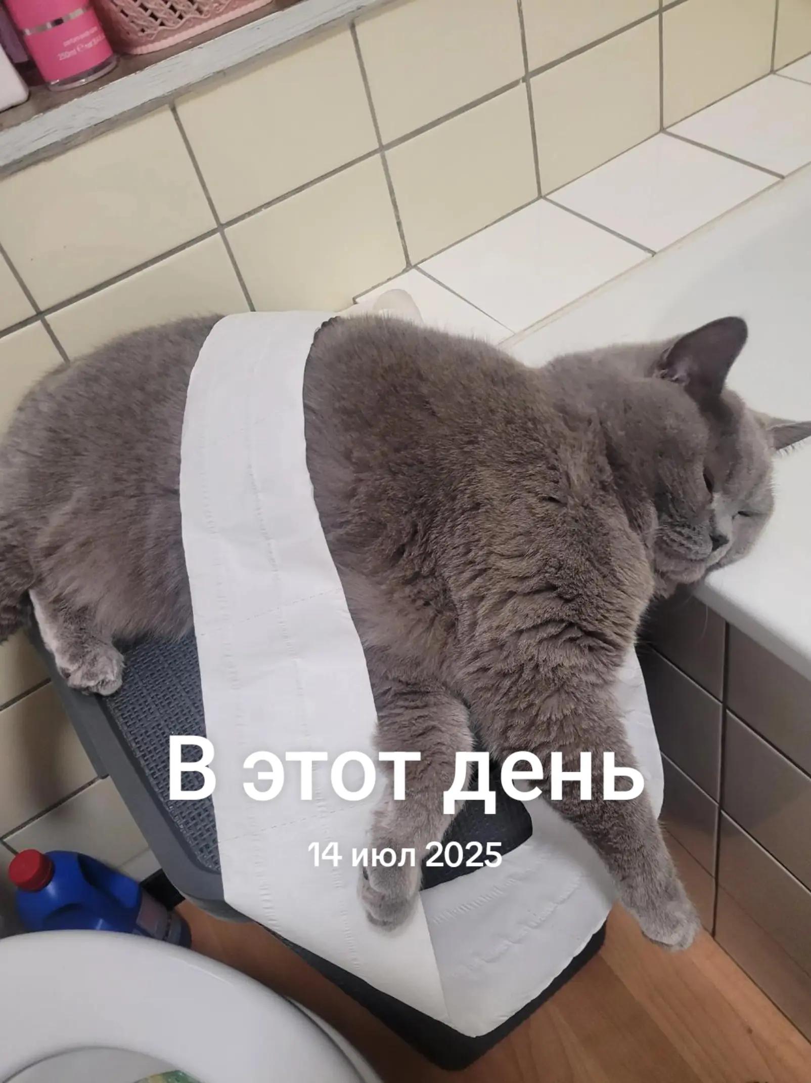 @Alena Sokolova
