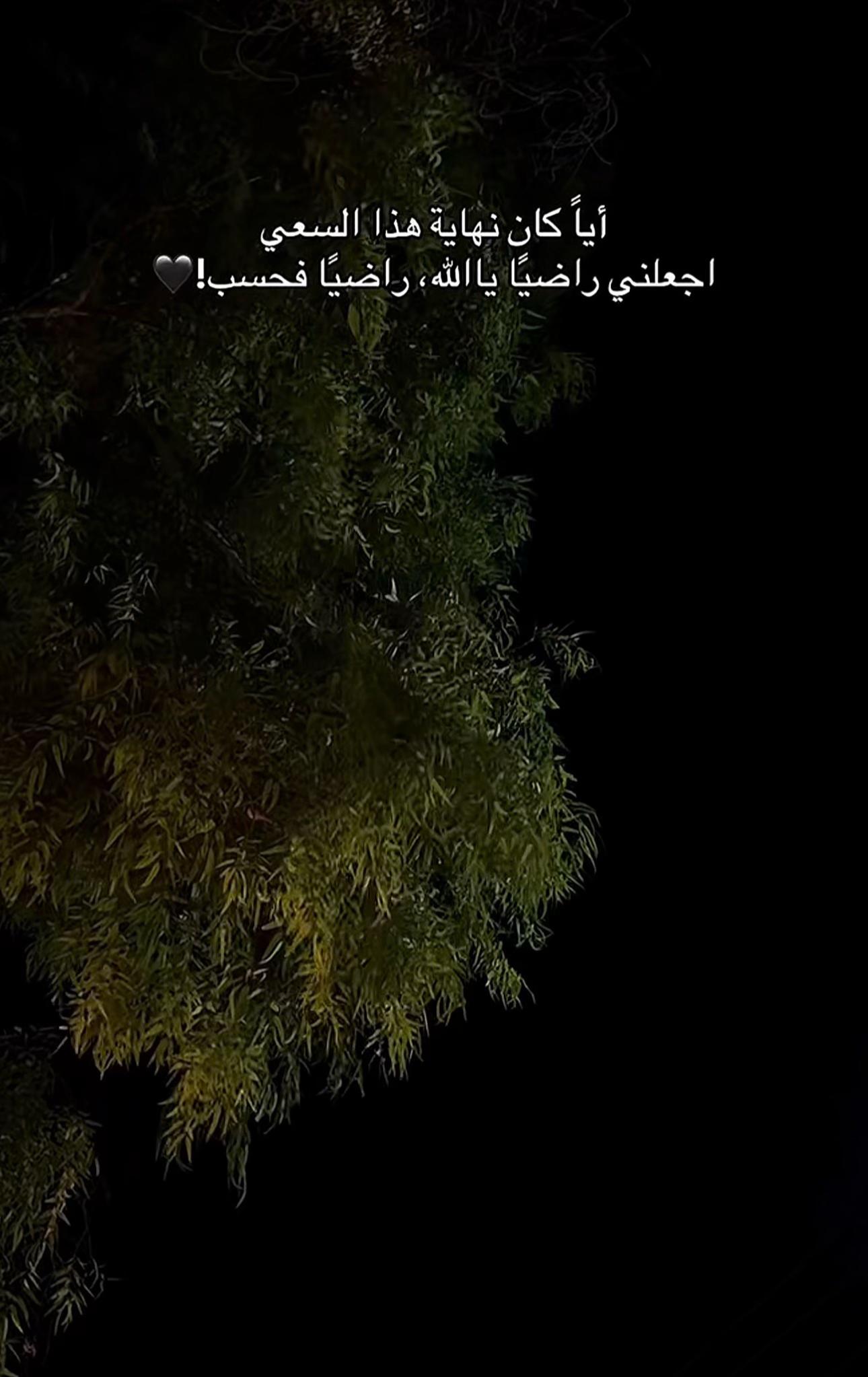 @🦅𝓢𝓪𝓵𝓮𝓶 𝓐𝓶𝓻🦅