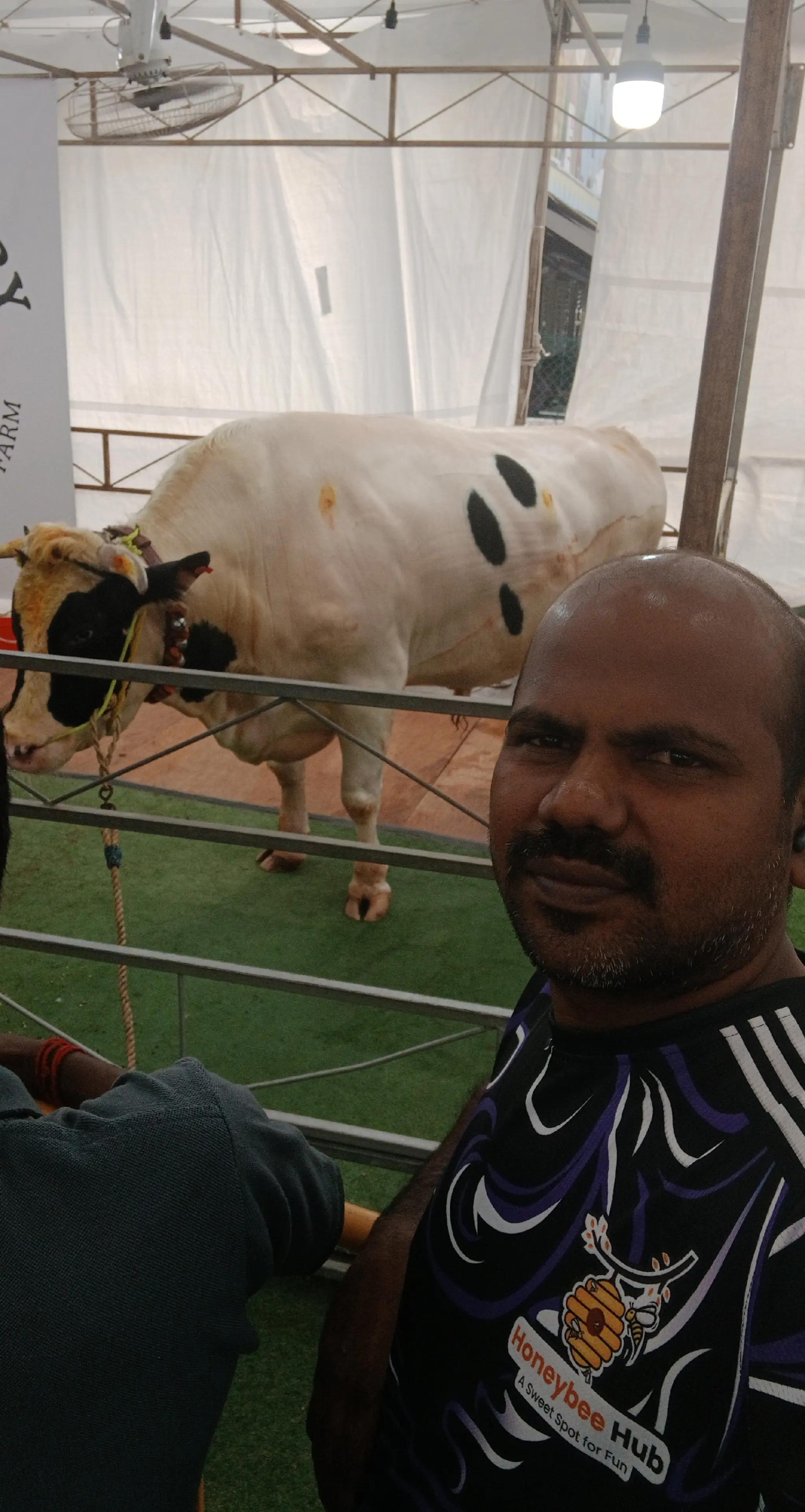 @Dinesh Tamil