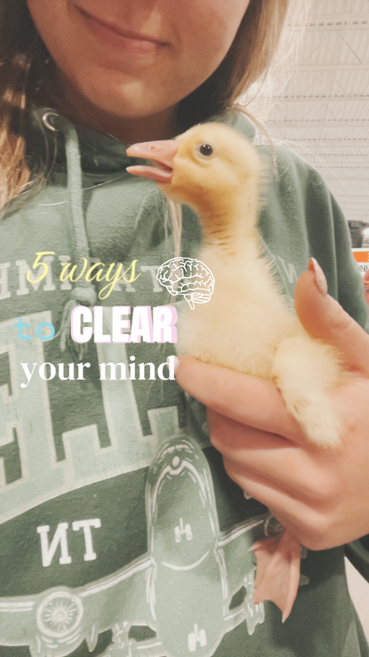 @𝒶 𝓋 𝑒 𝓇 𝓎 . 💐